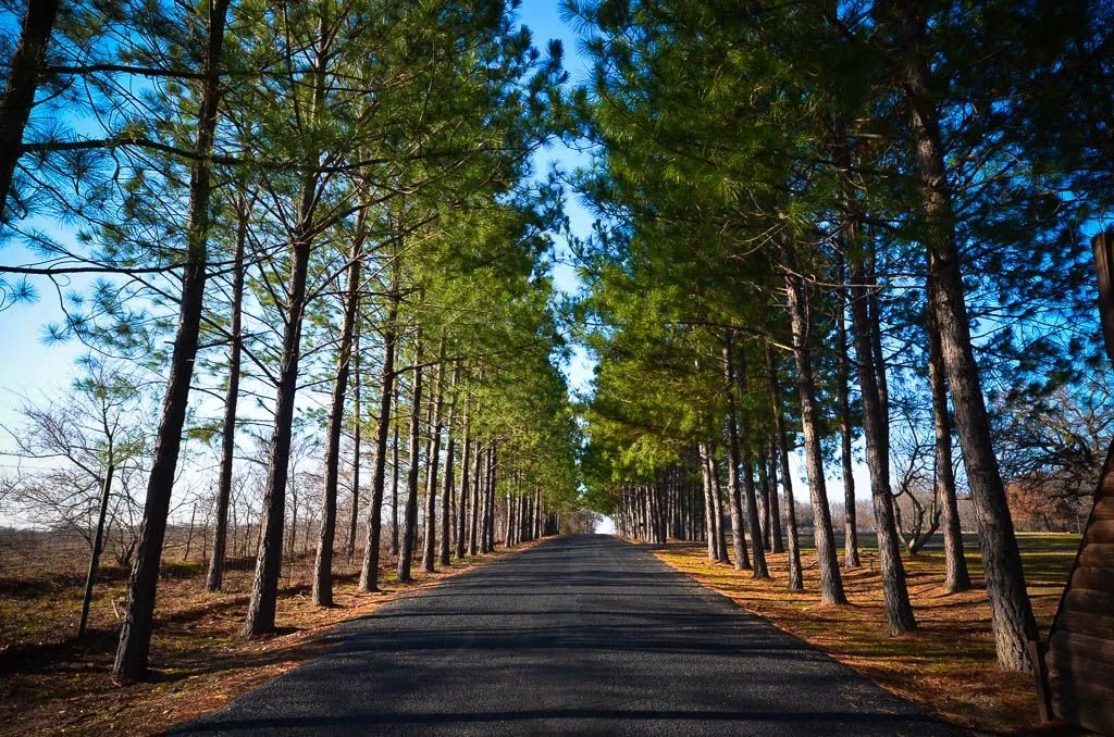 Unimproved Land For Sale in Freestone County , 131 Lincoln Drive, Streetman, Texas 75859, 0, 0, Garage spaces, 0 Sqft, built in 0, mls#21134889, Real Estate Agent in Streetman, Homes For Sale in Freestone county, Homes For Sale in Streetman, Realtor in Streetman Texas, Real Estate Brokerage Independent Realty Texas, Luminita Cordes Realtor