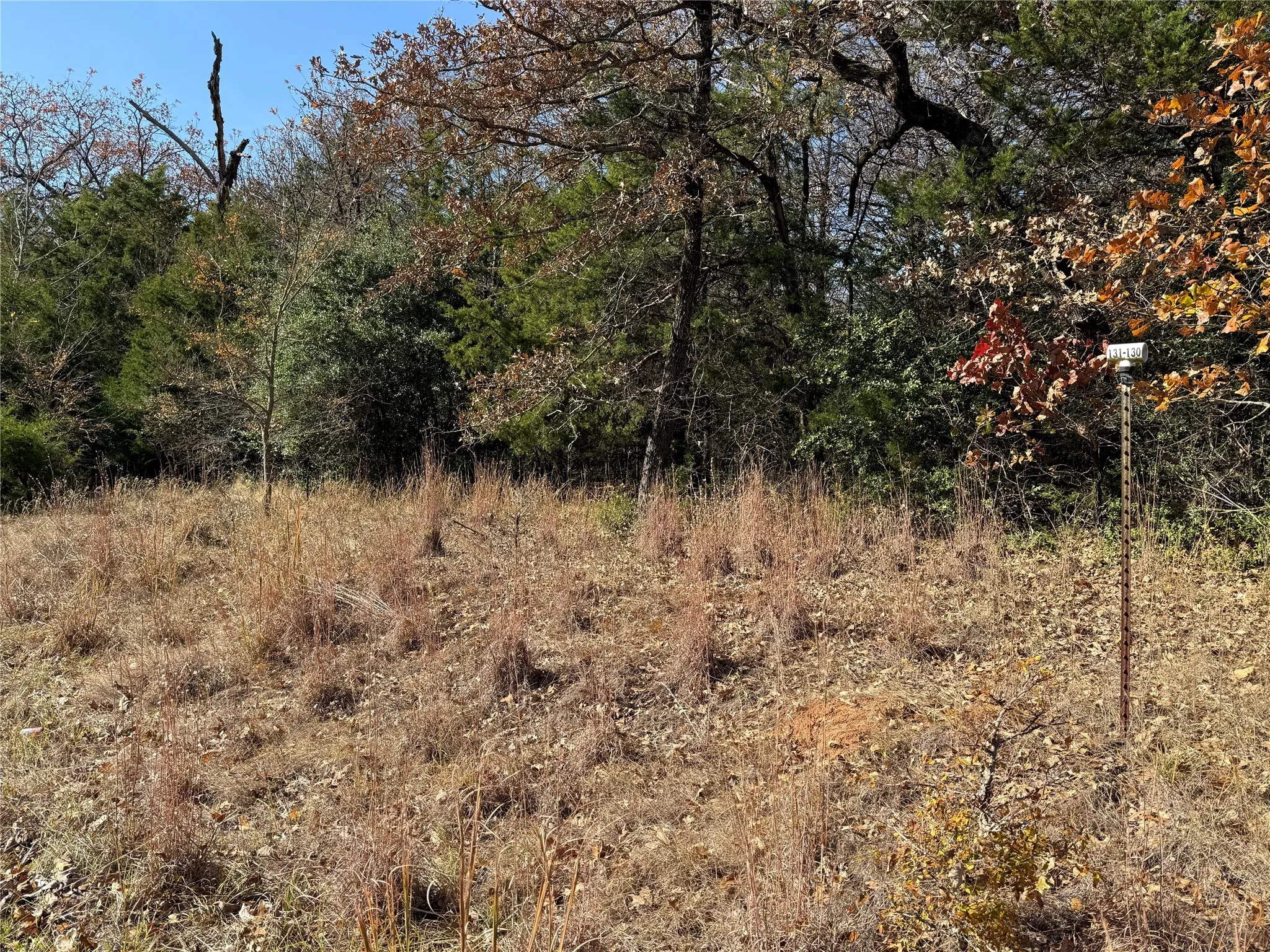 Unimproved Land For Sale in Freestone County , 131 Lincoln Drive, Streetman, Texas 75859, 0, 0, Garage spaces, 0 Sqft, built in 0, mls#21134889, Real Estate Agent in Streetman, Homes For Sale in Freestone county, Homes For Sale in Streetman, Realtor in Streetman Texas, Real Estate Brokerage Independent Realty Texas, Luminita Cordes Realtor