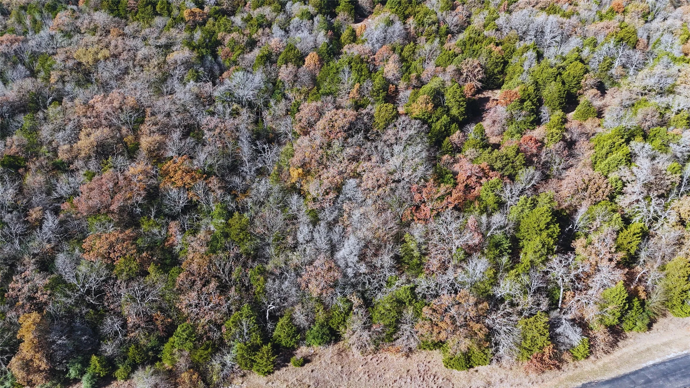 Unimproved Land For Sale in Freestone County , 131 Lincoln Drive, Streetman, Texas 75859, 0, 0, Garage spaces, 0 Sqft, built in 0, mls#21134889, Real Estate Agent in Streetman, Homes For Sale in Freestone county, Homes For Sale in Streetman, Realtor in Streetman Texas, Real Estate Brokerage Independent Realty Texas, Luminita Cordes Realtor