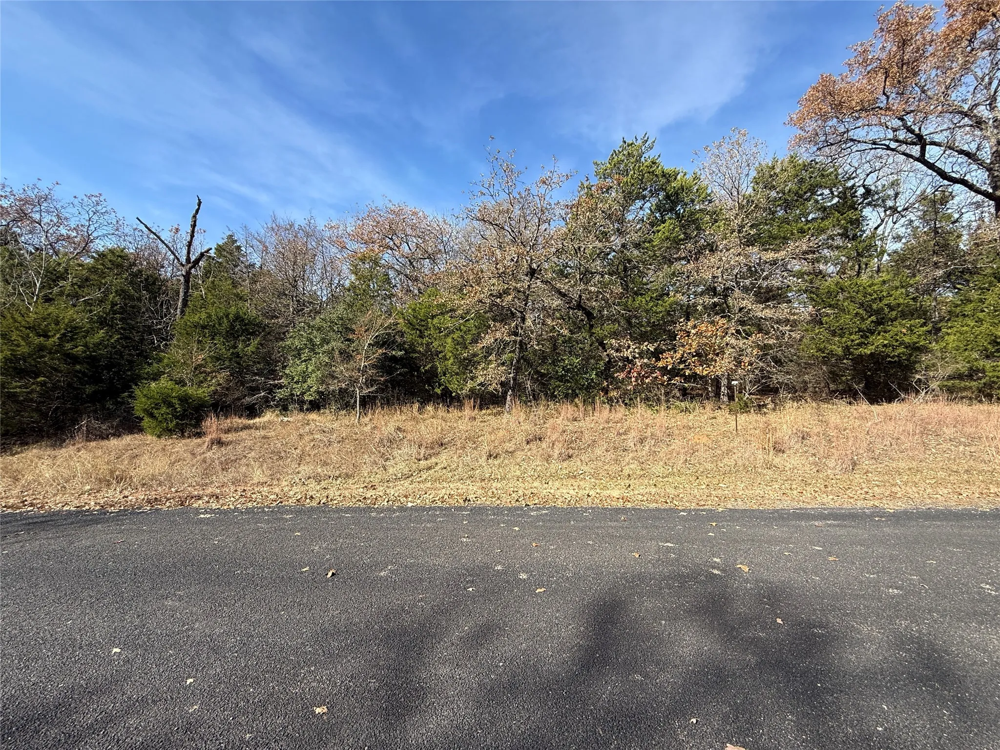 Unimproved Land For Sale in Freestone County , 131 Lincoln Drive, Streetman, Texas 75859, 0, 0, Garage spaces, 0 Sqft, built in 0, mls#21134889, Real Estate Agent in Streetman, Homes For Sale in Freestone county, Homes For Sale in Streetman, Realtor in Streetman Texas, Real Estate Brokerage Independent Realty Texas, Luminita Cordes Realtor