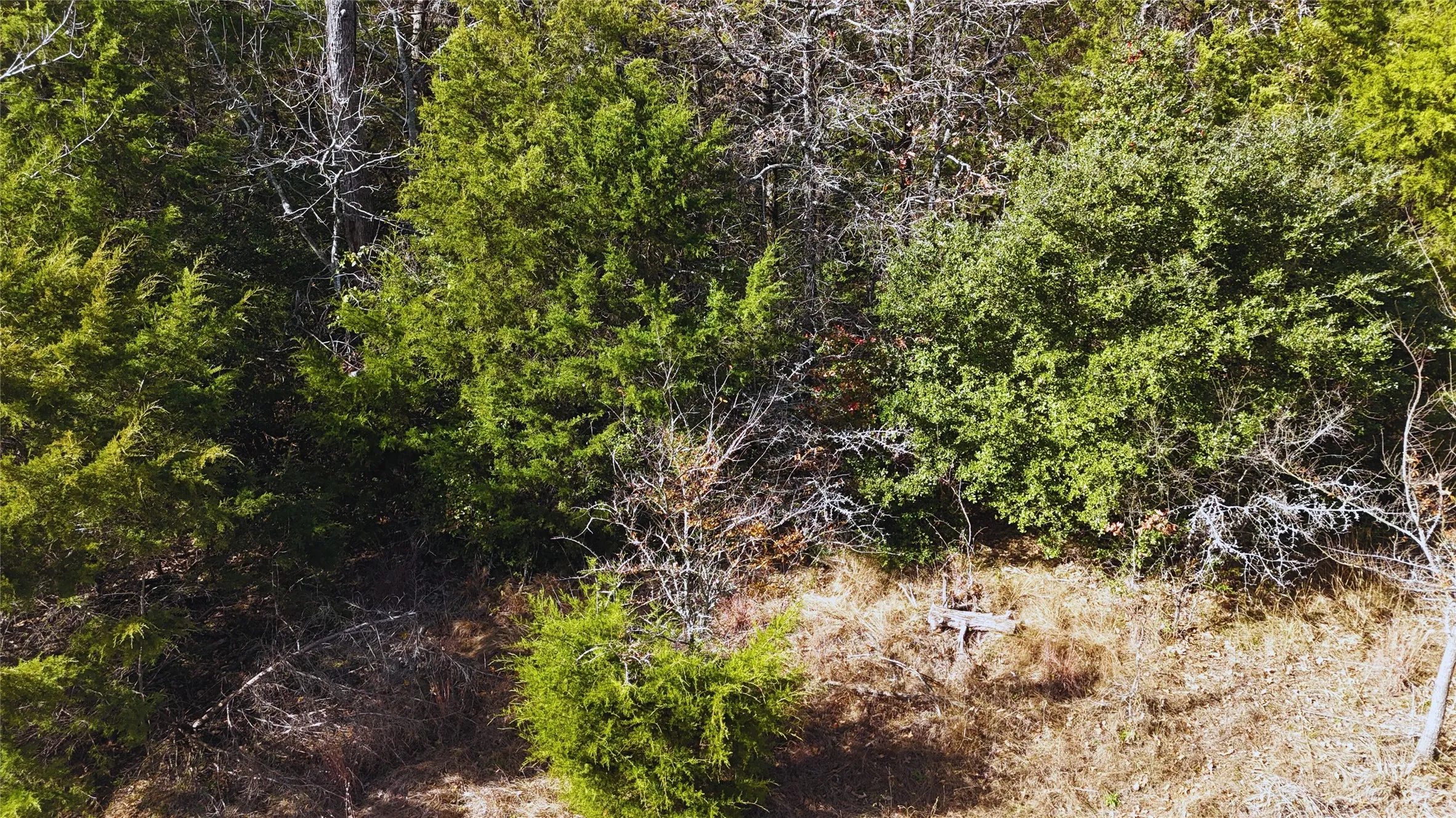 Unimproved Land For Sale in Freestone County , 131 Lincoln Drive, Streetman, Texas 75859, 0, 0, Garage spaces, 0 Sqft, built in 0, mls#21134889, Real Estate Agent in Streetman, Homes For Sale in Freestone county, Homes For Sale in Streetman, Realtor in Streetman Texas, Real Estate Brokerage Independent Realty Texas, Luminita Cordes Realtor