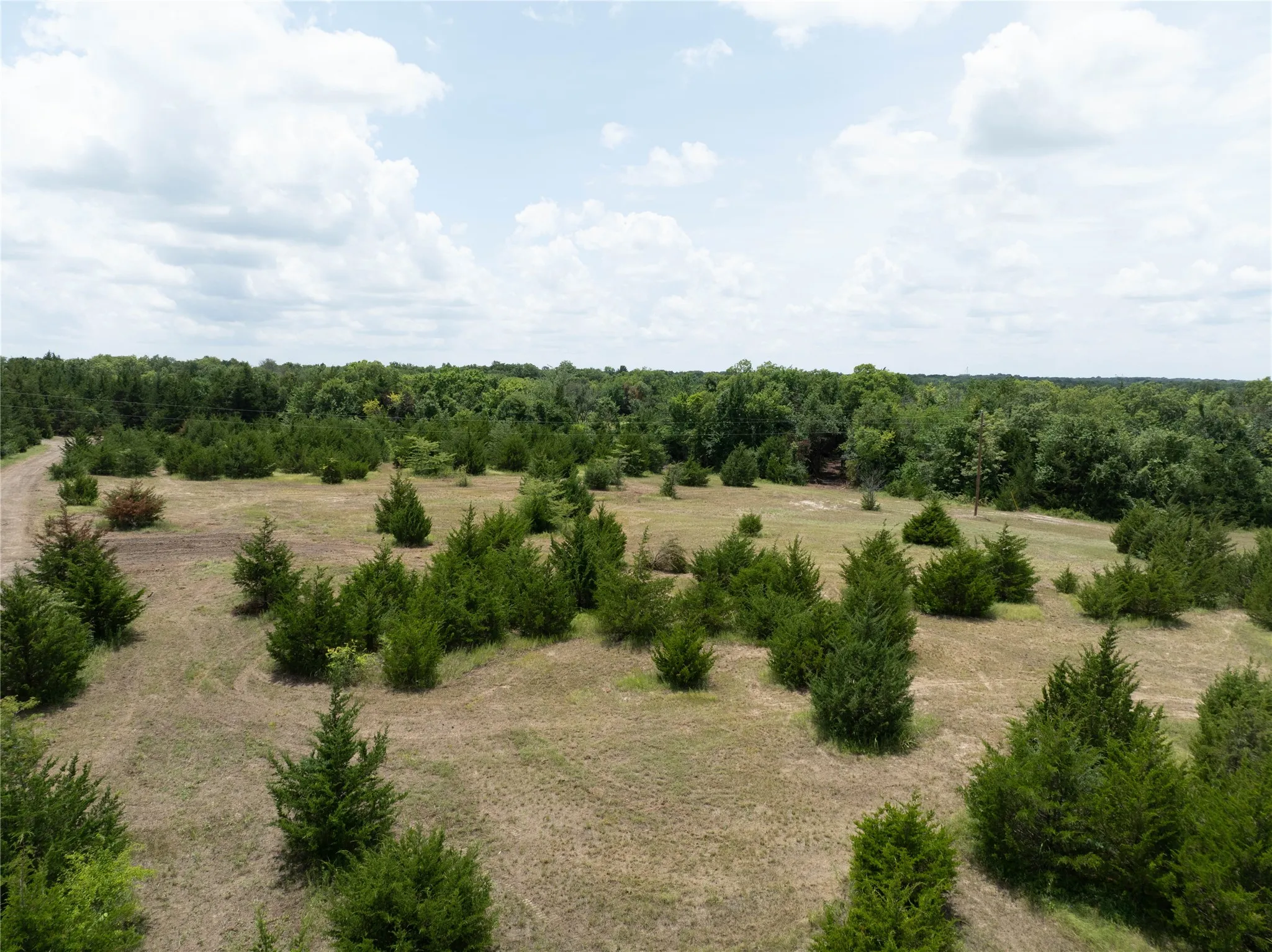 Unimproved Land For Sale in Fannin County , TBD Tract 8 CR 2997, Honey Grove, Texas 75446, 0, 0, Garage spaces, 0 Sqft, built in 0, mls#21136184, Real Estate Agent in Honey Grove, Homes For Sale in Fannin county, Homes For Sale in Honey Grove, Realtor in Honey Grove Texas, Real Estate Brokerage Independent Realty Texas, Luminita Cordes Realtor