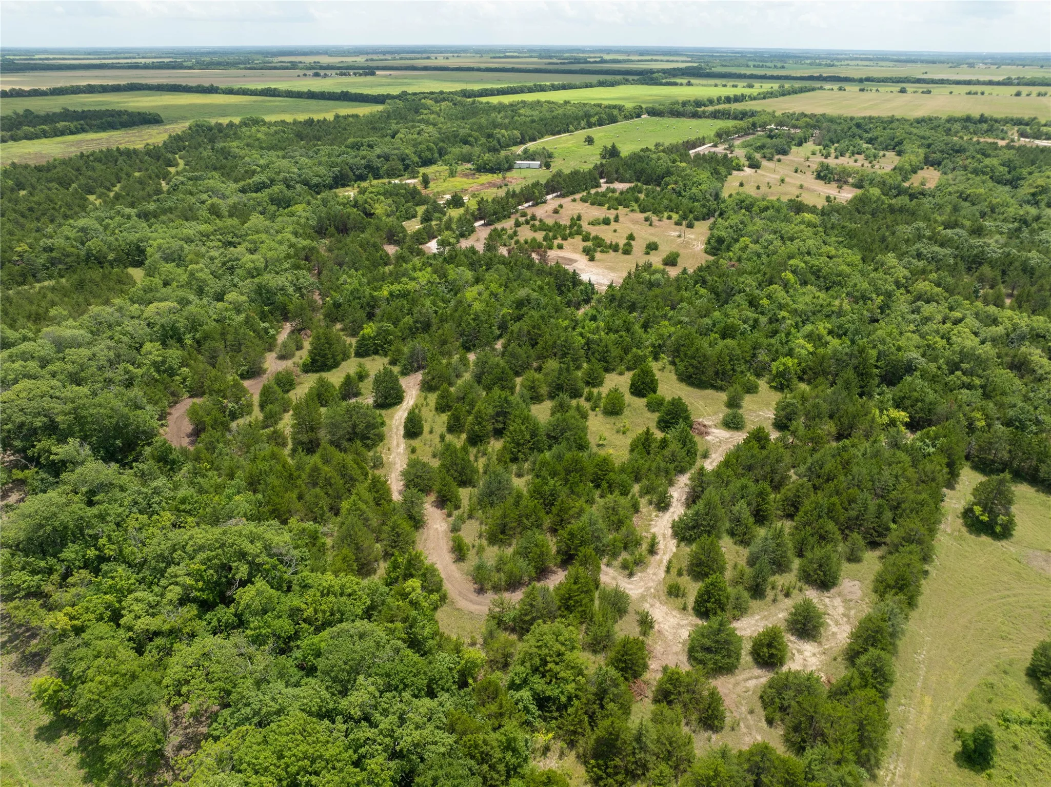 Unimproved Land For Sale in Fannin County , TBD Tract 8 CR 2997, Honey Grove, Texas 75446, 0, 0, Garage spaces, 0 Sqft, built in 0, mls#21136184, Real Estate Agent in Honey Grove, Homes For Sale in Fannin county, Homes For Sale in Honey Grove, Realtor in Honey Grove Texas, Real Estate Brokerage Independent Realty Texas, Luminita Cordes Realtor