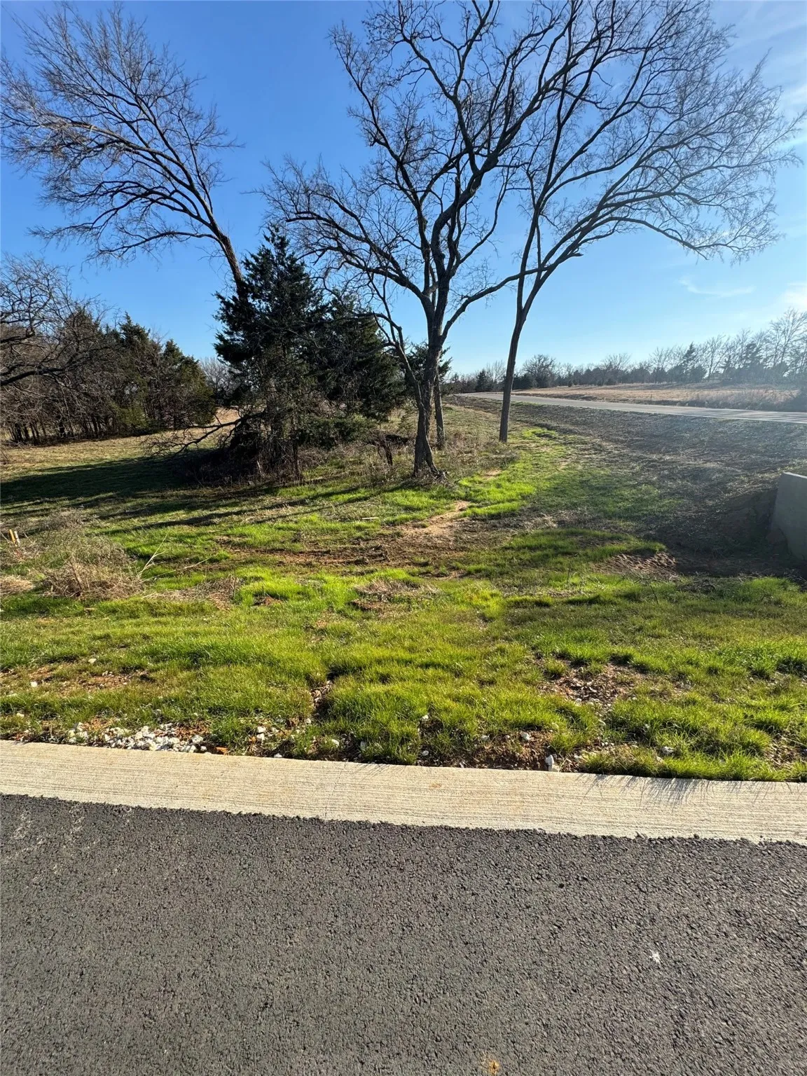 Unimproved Land For Sale in Grayson County , Lot 22 Medallion Club Street, Gordonville, Texas 76245, 0, 0, Garage spaces, 0 Sqft, built in 0, Price $84,900, mls#21136419, Real Estate Agent in Gordonville, Homes For Sale in Grayson county, Homes For Sale in Gordonville, Realtor in Gordonville Texas, Real Estate Brokerage Independent Realty Texas, Luminita Cordes Realtor