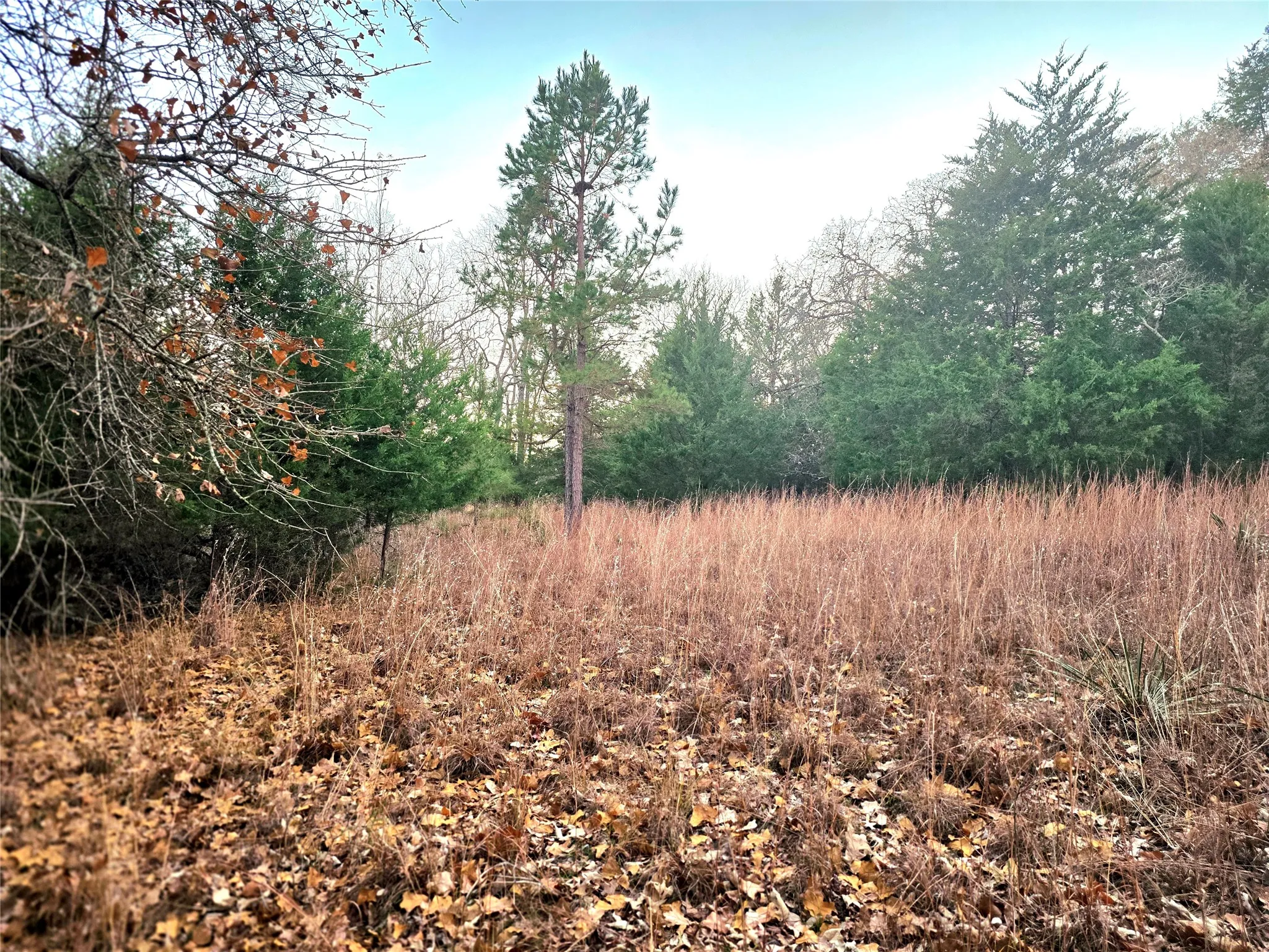 Improved Land For Sale in Henderson County , Lot 401 Mallard Way, Larue, Texas 75770, 0, 0, Garage spaces, 0 Sqft, built in 0, mls#21135031, Real Estate Agent in Larue, Homes For Sale in Henderson county, Homes For Sale in Larue, Realtor in Larue Texas, Real Estate Brokerage Independent Realty Texas, Luminita Cordes Realtor