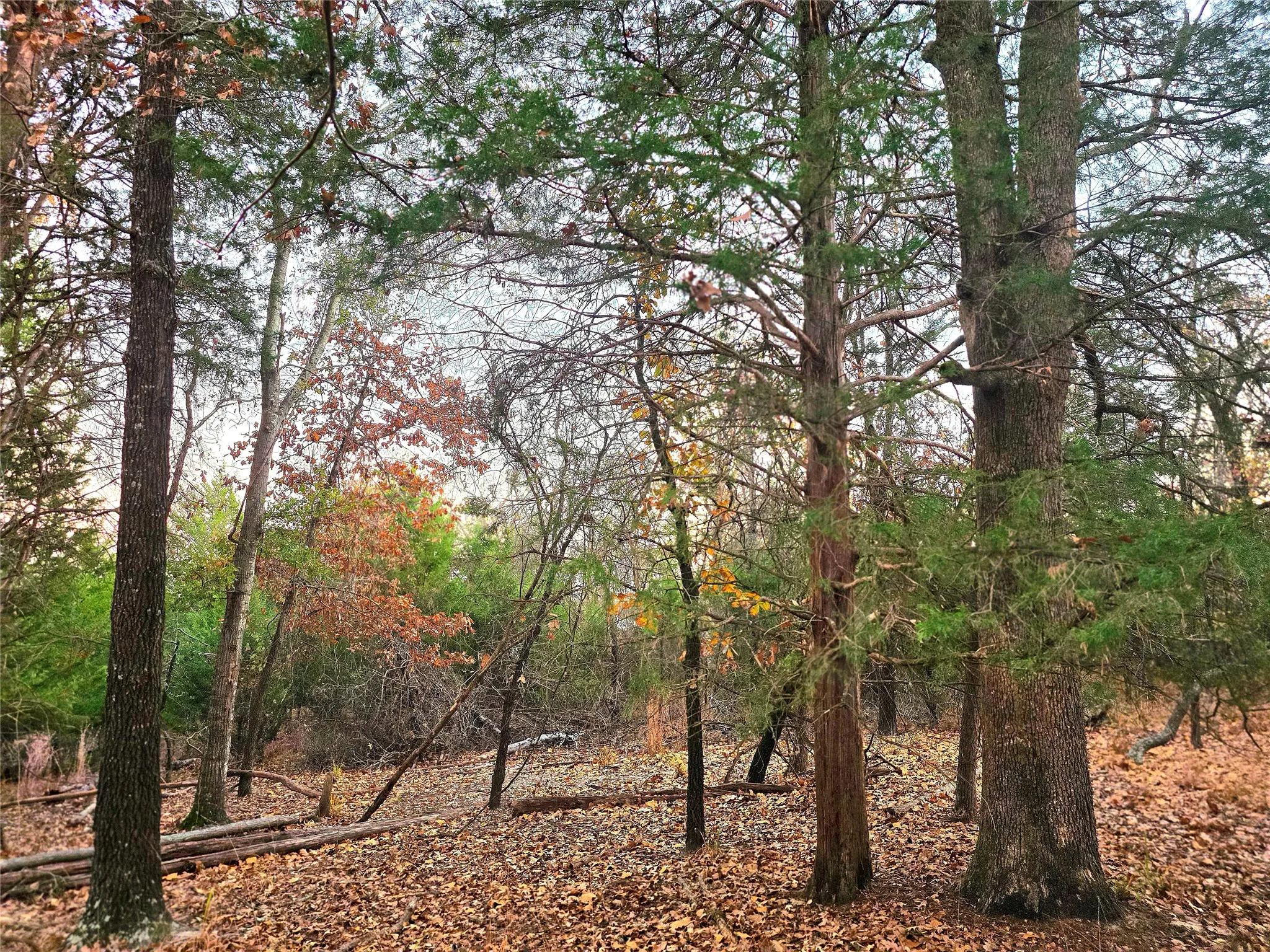 Improved Land For Sale in Henderson County , Lot 401 Mallard Way, Larue, Texas 75770, 0, 0, Garage spaces, 0 Sqft, built in 0, mls#21135031, Real Estate Agent in Larue, Homes For Sale in Henderson county, Homes For Sale in Larue, Realtor in Larue Texas, Real Estate Brokerage Independent Realty Texas, Luminita Cordes Realtor