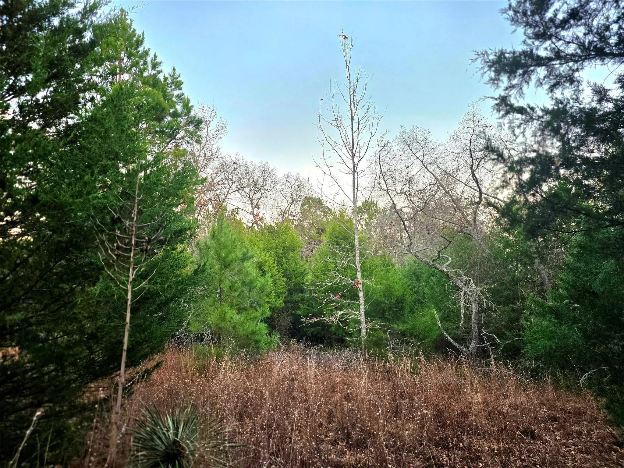 Improved Land For Sale in Henderson County , Lot 401 Mallard Way, Larue, Texas 75770, 0, 0, Garage spaces, 0 Sqft, built in 0, mls#21135031, Real Estate Agent in Larue, Homes For Sale in Henderson county, Homes For Sale in Larue, Realtor in Larue Texas, Real Estate Brokerage Independent Realty Texas, Luminita Cordes Realtor