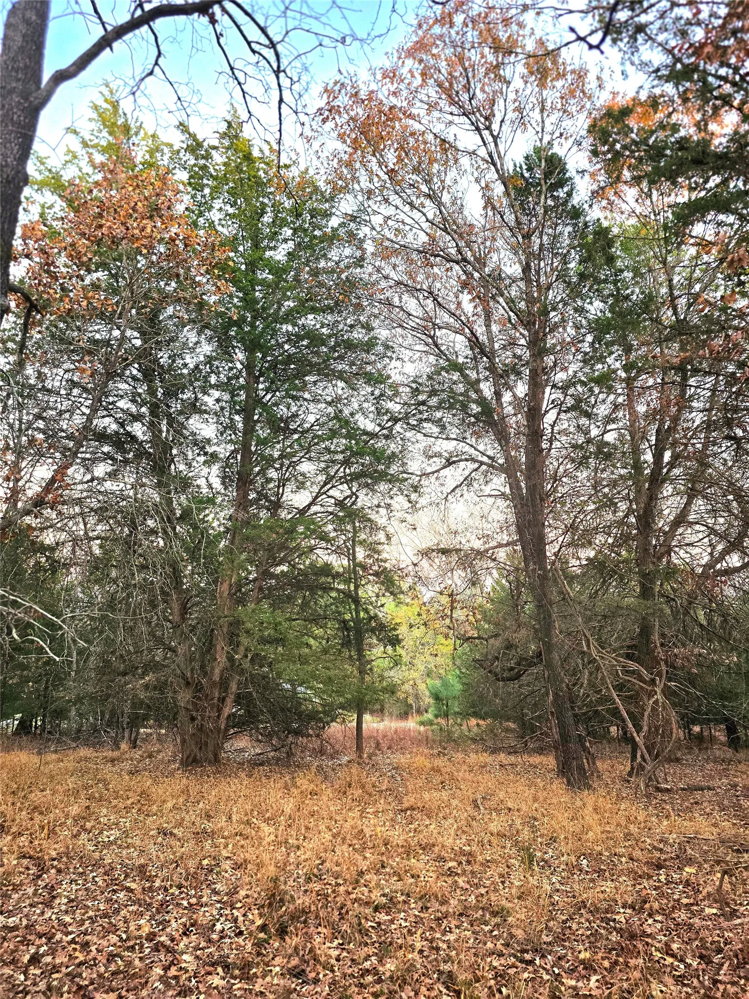 Improved Land For Sale in Henderson County , Lot 401 Mallard Way, Larue, Texas 75770, 0, 0, Garage spaces, 0 Sqft, built in 0, mls#21135031, Real Estate Agent in Larue, Homes For Sale in Henderson county, Homes For Sale in Larue, Realtor in Larue Texas, Real Estate Brokerage Independent Realty Texas, Luminita Cordes Realtor