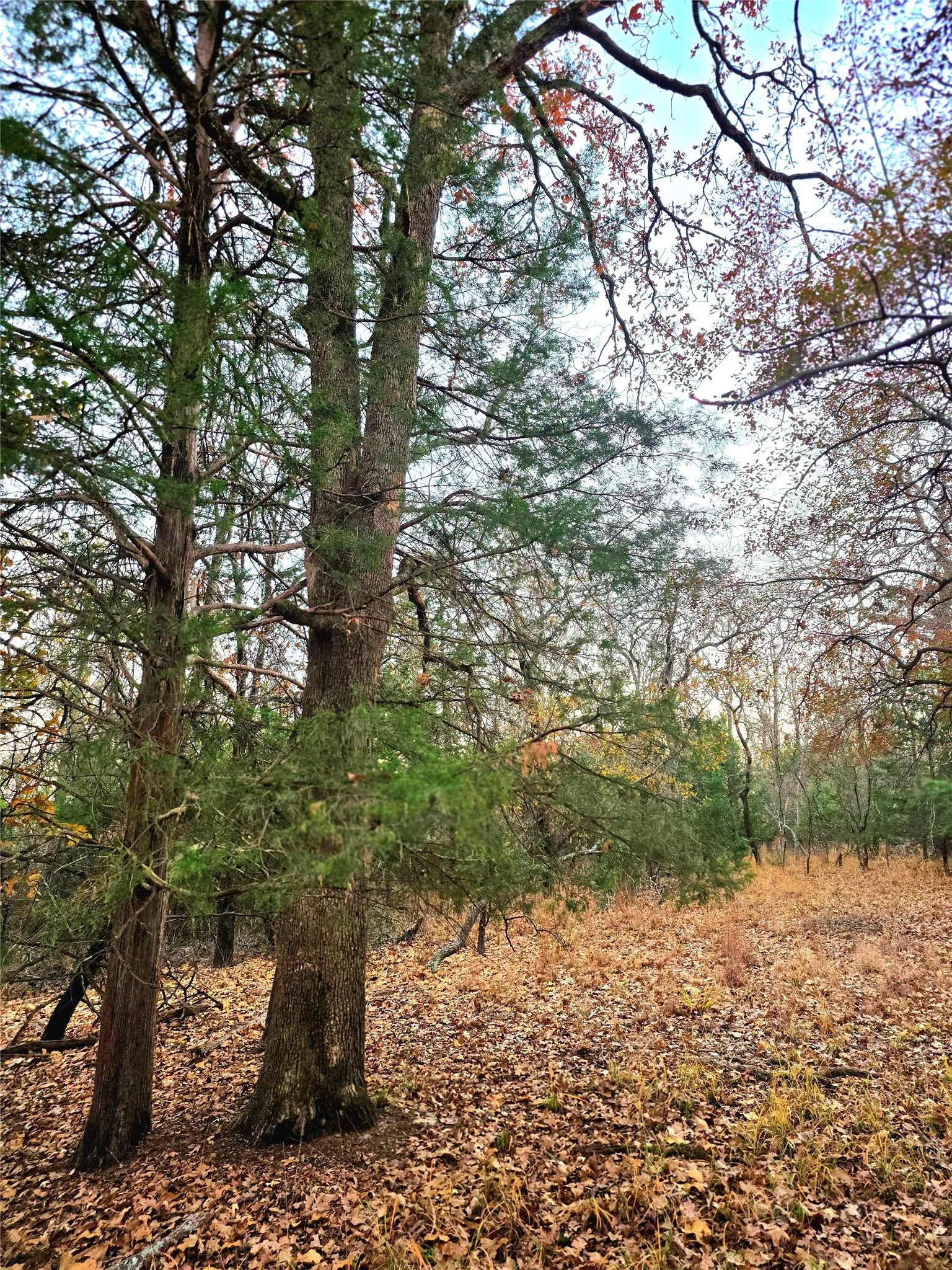Improved Land For Sale in Henderson County , Lot 401 Mallard Way, Larue, Texas 75770, 0, 0, Garage spaces, 0 Sqft, built in 0, mls#21135031, Real Estate Agent in Larue, Homes For Sale in Henderson county, Homes For Sale in Larue, Realtor in Larue Texas, Real Estate Brokerage Independent Realty Texas, Luminita Cordes Realtor