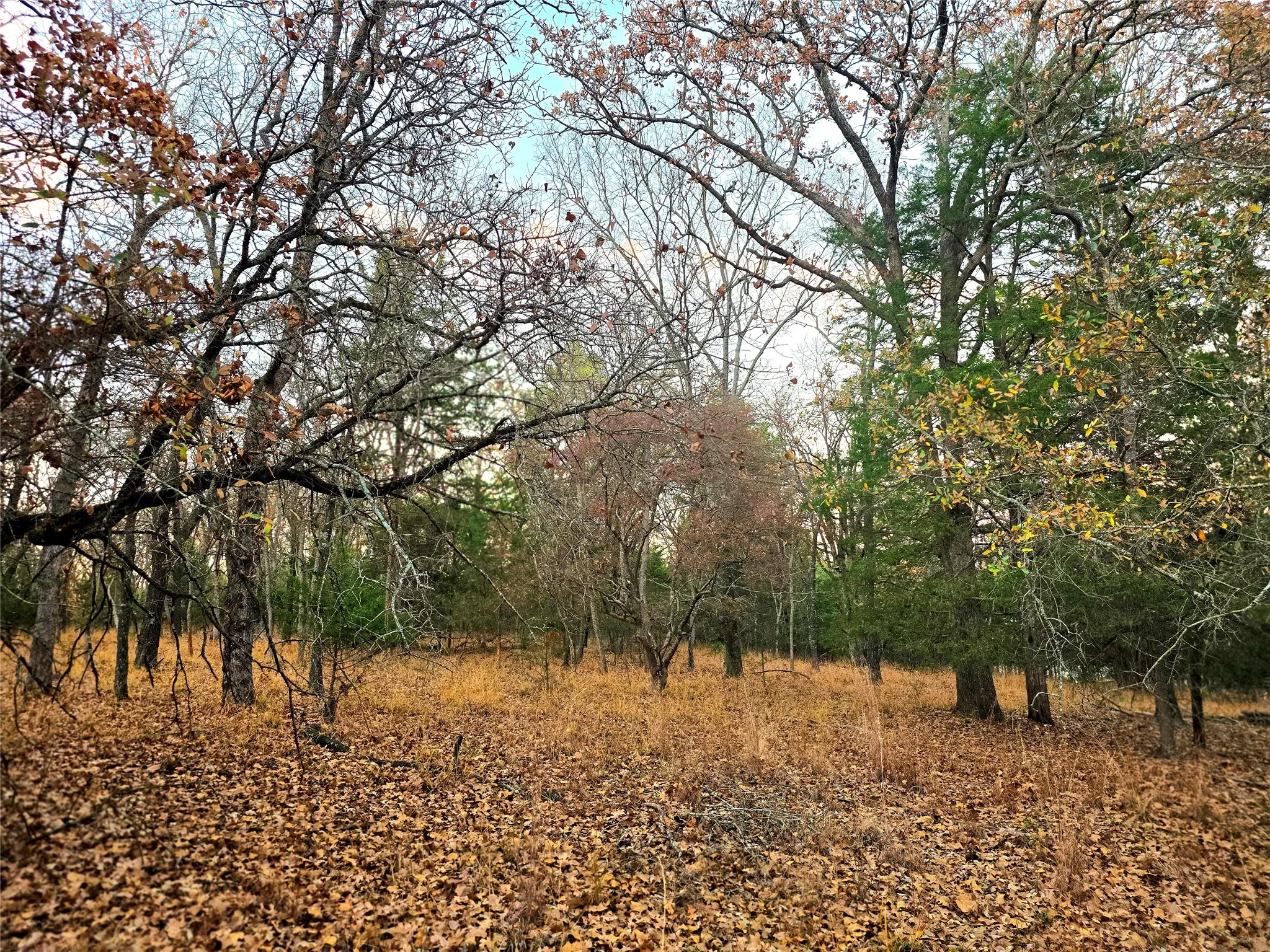 Improved Land For Sale in Henderson County , Lot 401 Mallard Way, Larue, Texas 75770, 0, 0, Garage spaces, 0 Sqft, built in 0, mls#21135031, Real Estate Agent in Larue, Homes For Sale in Henderson county, Homes For Sale in Larue, Realtor in Larue Texas, Real Estate Brokerage Independent Realty Texas, Luminita Cordes Realtor