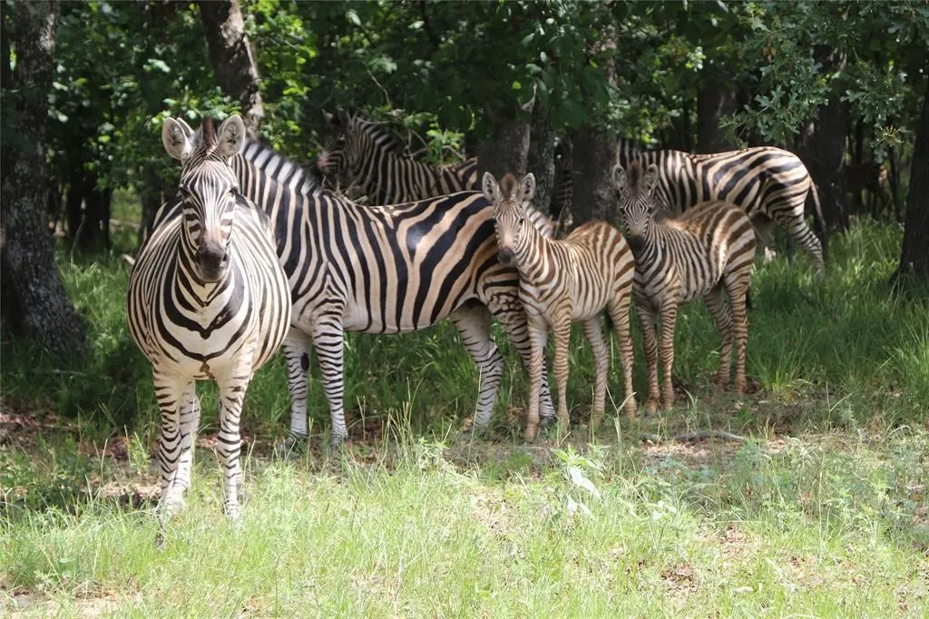 The locals in this neighborhood are aweseom!