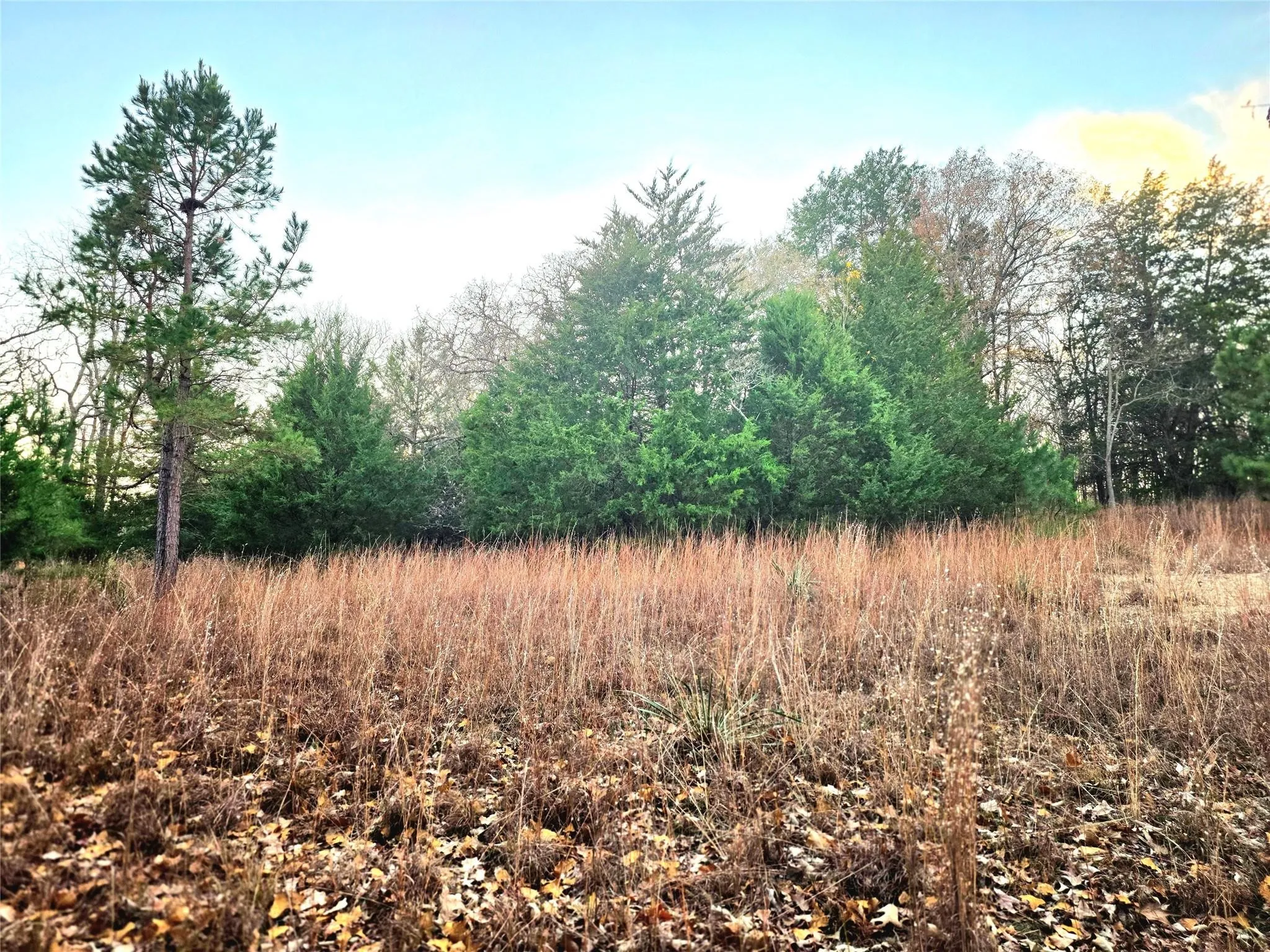 Improved Land For Sale in Henderson County , Lot 401 Mallard Way, Larue, Texas 75770, 0, 0, Garage spaces, 0 Sqft, built in 0, mls#21135031, Real Estate Agent in Larue, Homes For Sale in Henderson county, Homes For Sale in Larue, Realtor in Larue Texas, Real Estate Brokerage Independent Realty Texas, Luminita Cordes Realtor