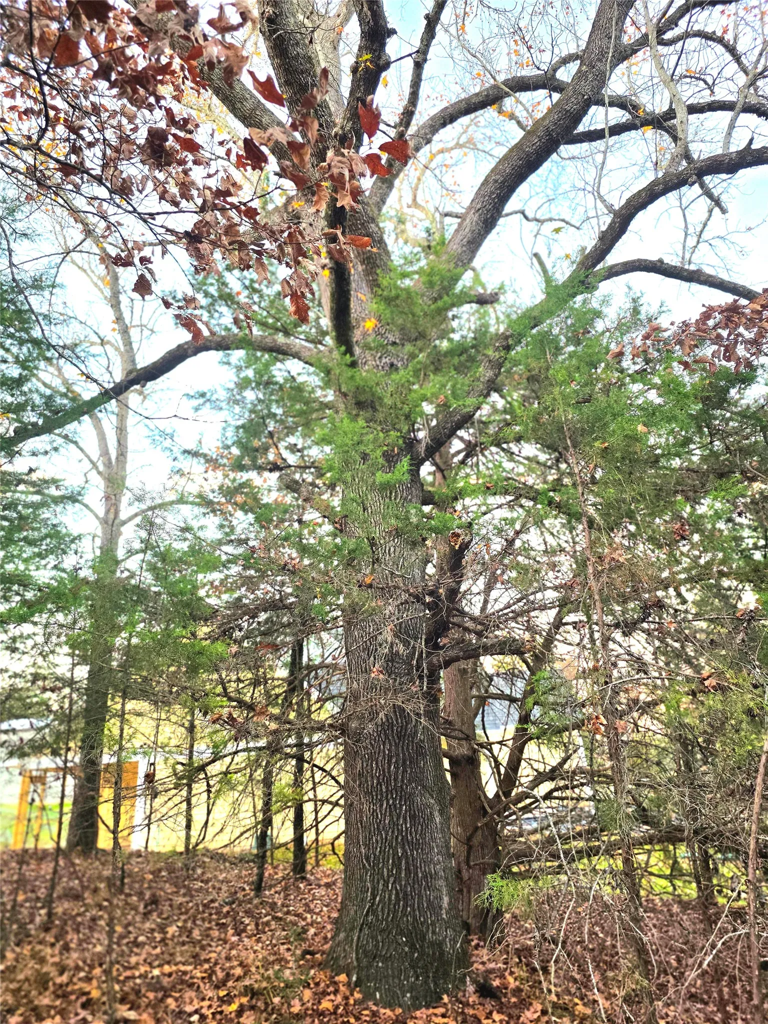 Improved Land For Sale in Henderson County , Lot 401 Mallard Way, Larue, Texas 75770, 0, 0, Garage spaces, 0 Sqft, built in 0, mls#21135031, Real Estate Agent in Larue, Homes For Sale in Henderson county, Homes For Sale in Larue, Realtor in Larue Texas, Real Estate Brokerage Independent Realty Texas, Luminita Cordes Realtor