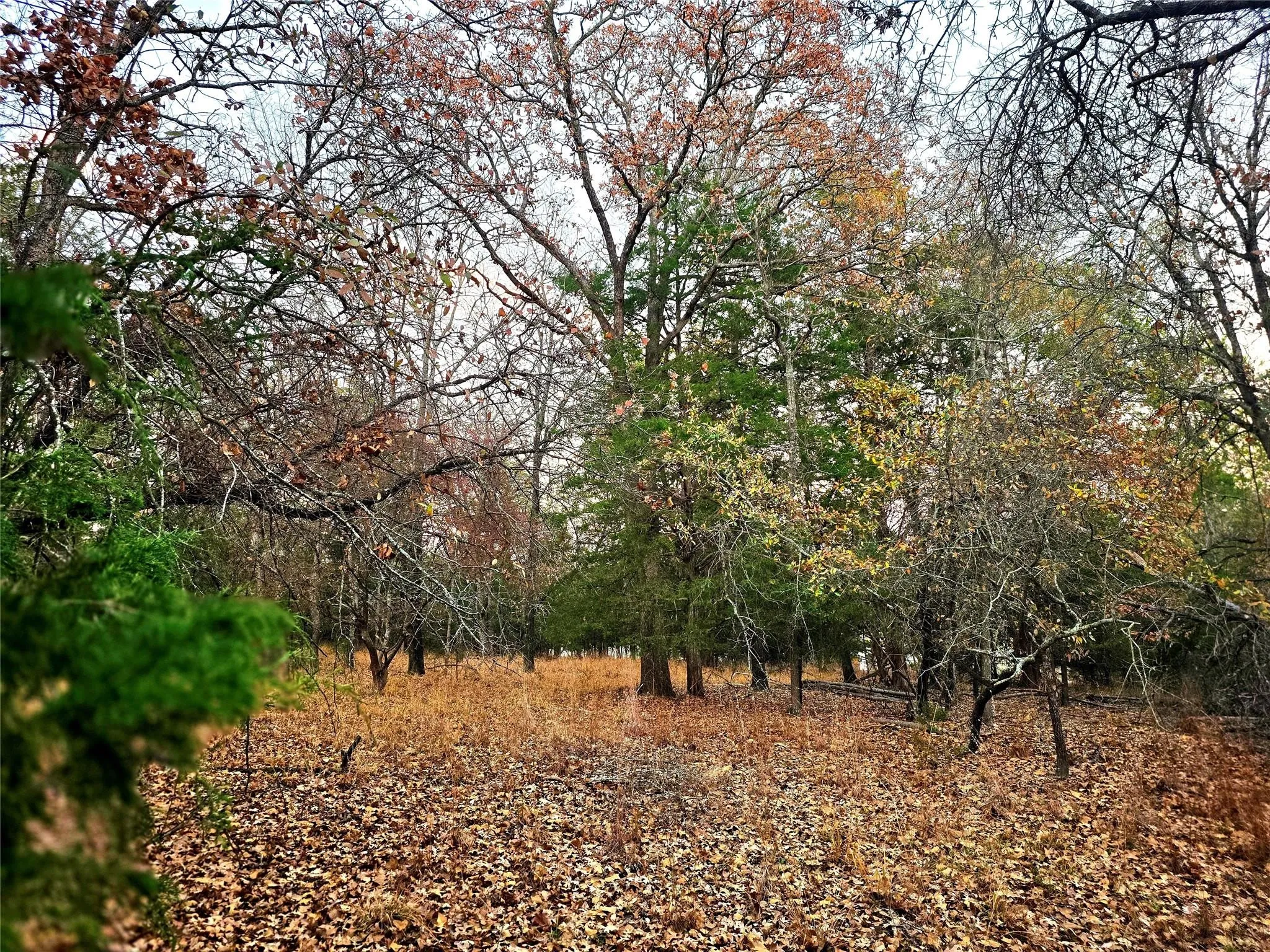 Build your dream home on this gorgeous two-acre wooded lot.