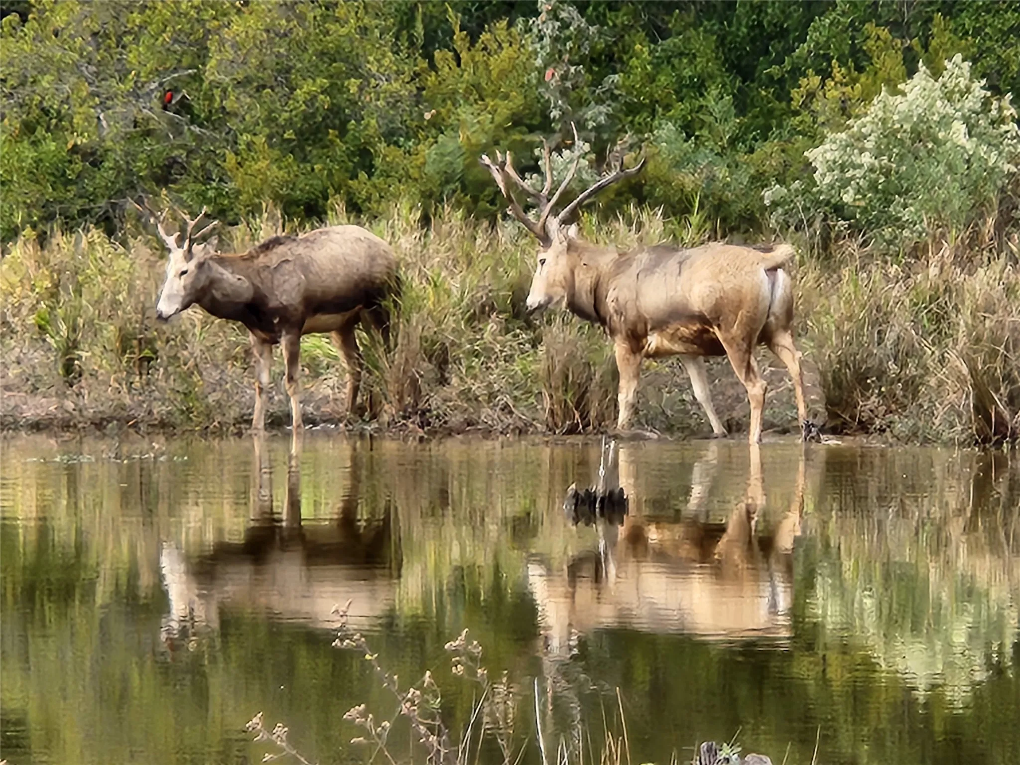 The awesome beauty of nature is on display at Safari Waters Ranch.