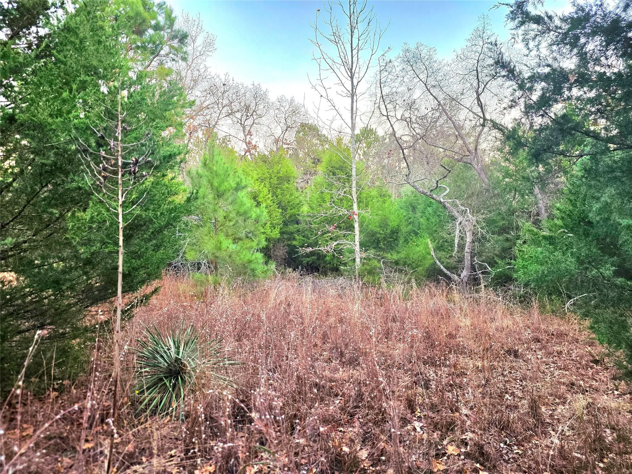Improved Land For Sale in Henderson County , Lot 401 Mallard Way, Larue, Texas 75770, 0, 0, Garage spaces, 0 Sqft, built in 0, mls#21135031, Real Estate Agent in Larue, Homes For Sale in Henderson county, Homes For Sale in Larue, Realtor in Larue Texas, Real Estate Brokerage Independent Realty Texas, Luminita Cordes Realtor
