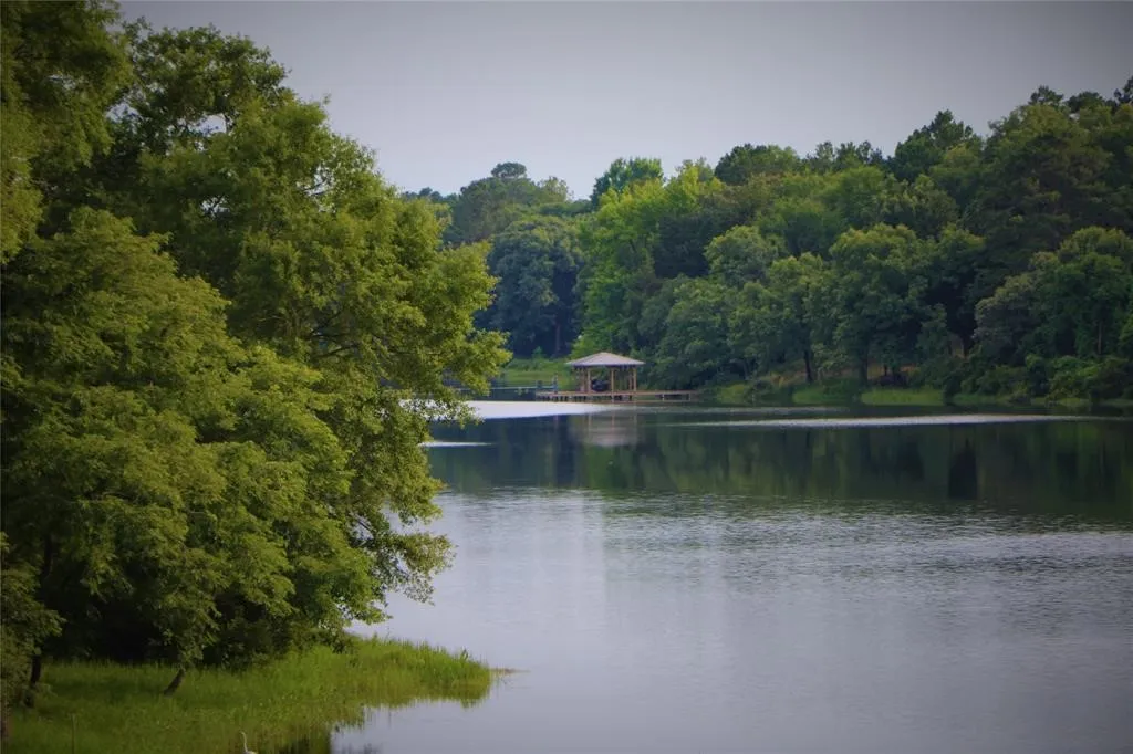 Safari Lake.