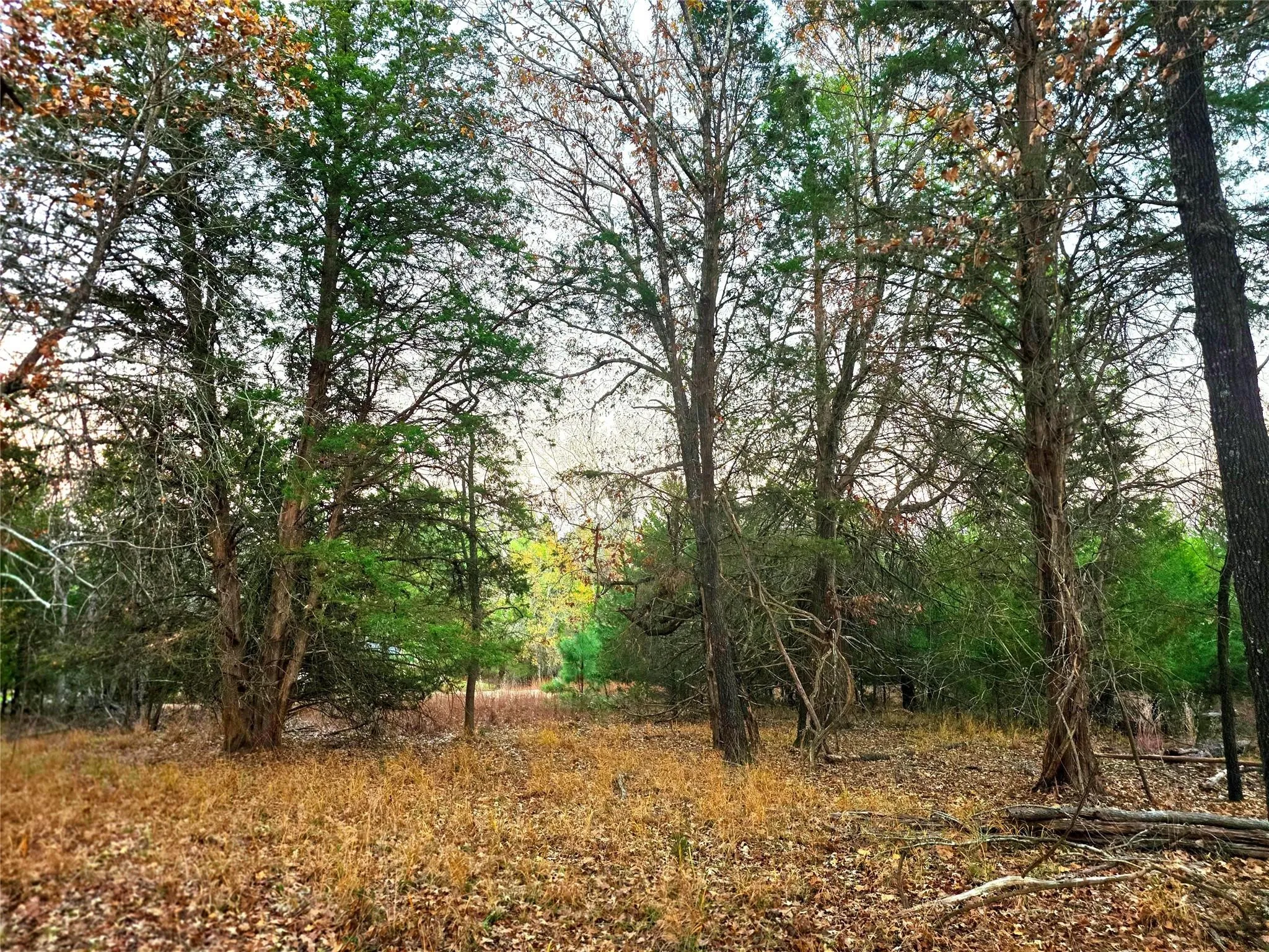 Improved Land For Sale in Henderson County , Lot 401 Mallard Way, Larue, Texas 75770, 0, 0, Garage spaces, 0 Sqft, built in 0, mls#21135031, Real Estate Agent in Larue, Homes For Sale in Henderson county, Homes For Sale in Larue, Realtor in Larue Texas, Real Estate Brokerage Independent Realty Texas, Luminita Cordes Realtor