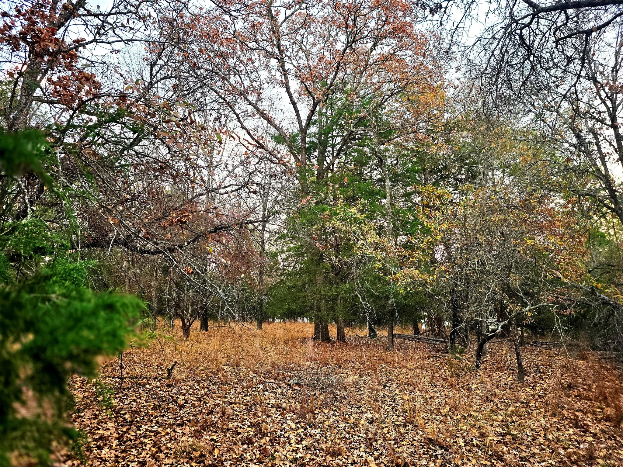 Improved Land For Sale in Henderson County , Lot 401 Mallard Way, Larue, Texas 75770, 0, 0, Garage spaces, 0 Sqft, built in 0, mls#21135031, Real Estate Agent in Larue, Homes For Sale in Henderson county, Homes For Sale in Larue, Realtor in Larue Texas, Real Estate Brokerage Independent Realty Texas, Luminita Cordes Realtor