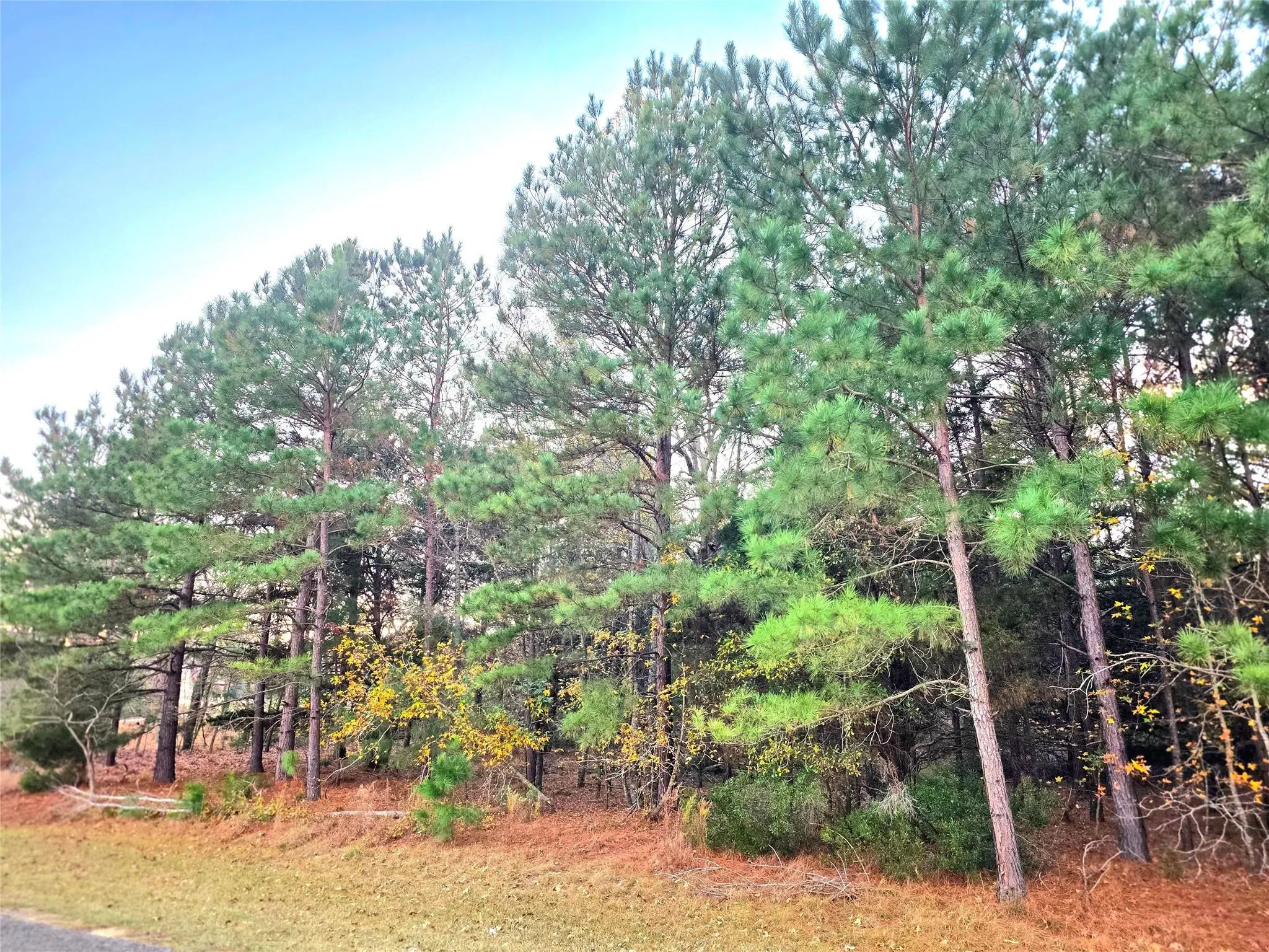 Improved Land For Sale in Henderson County , Lot 401 Mallard Way, Larue, Texas 75770, 0, 0, Garage spaces, 0 Sqft, built in 0, mls#21135031, Real Estate Agent in Larue, Homes For Sale in Henderson county, Homes For Sale in Larue, Realtor in Larue Texas, Real Estate Brokerage Independent Realty Texas, Luminita Cordes Realtor
