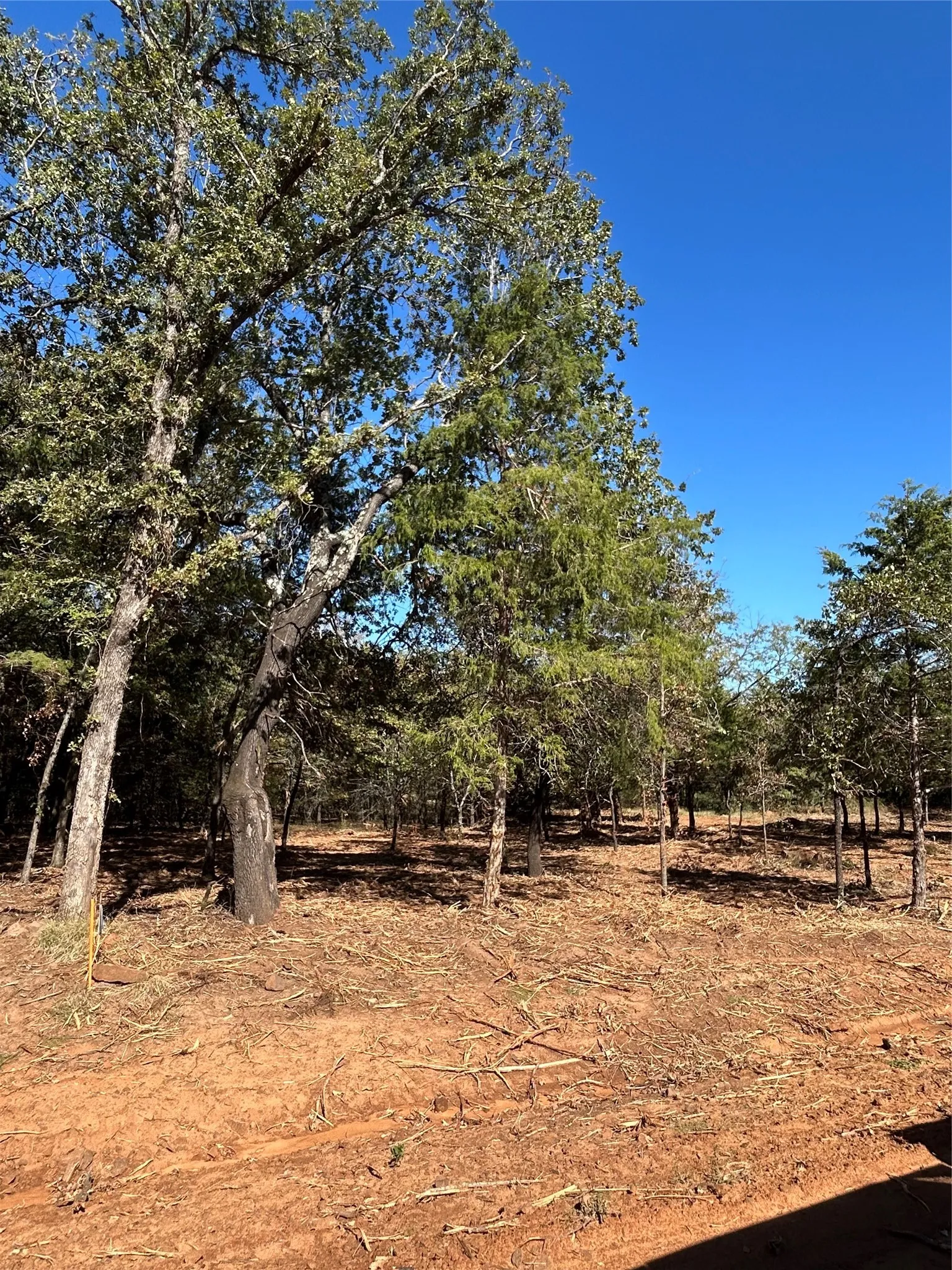 Improved Land For Sale in Cooke County , Lot 2 Annahill Lane, Whitesboro, Texas 76273, 0, 0, Garage spaces, 0 Sqft, built in 0, mls#21136528, Real Estate Agent in Whitesboro, Homes For Sale in Cooke county, Homes For Sale in Whitesboro, Realtor in Whitesboro Texas, Real Estate Brokerage Independent Realty Texas, Luminita Cordes Realtor