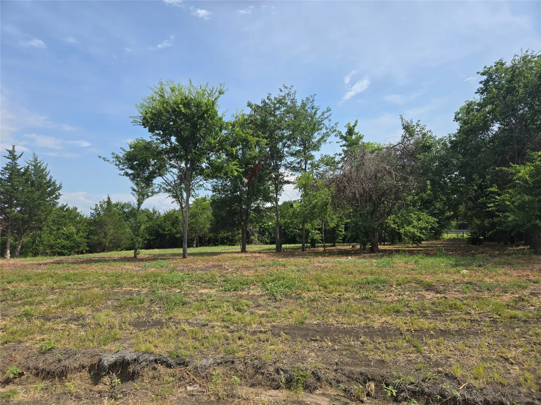 Improved Land For Sale in Cooke County , Lot 2 Annahill Lane, Whitesboro, Texas 76273, 0, 0, Garage spaces, 0 Sqft, built in 0, mls#21136528, Real Estate Agent in Whitesboro, Homes For Sale in Cooke county, Homes For Sale in Whitesboro, Realtor in Whitesboro Texas, Real Estate Brokerage Independent Realty Texas, Luminita Cordes Realtor
