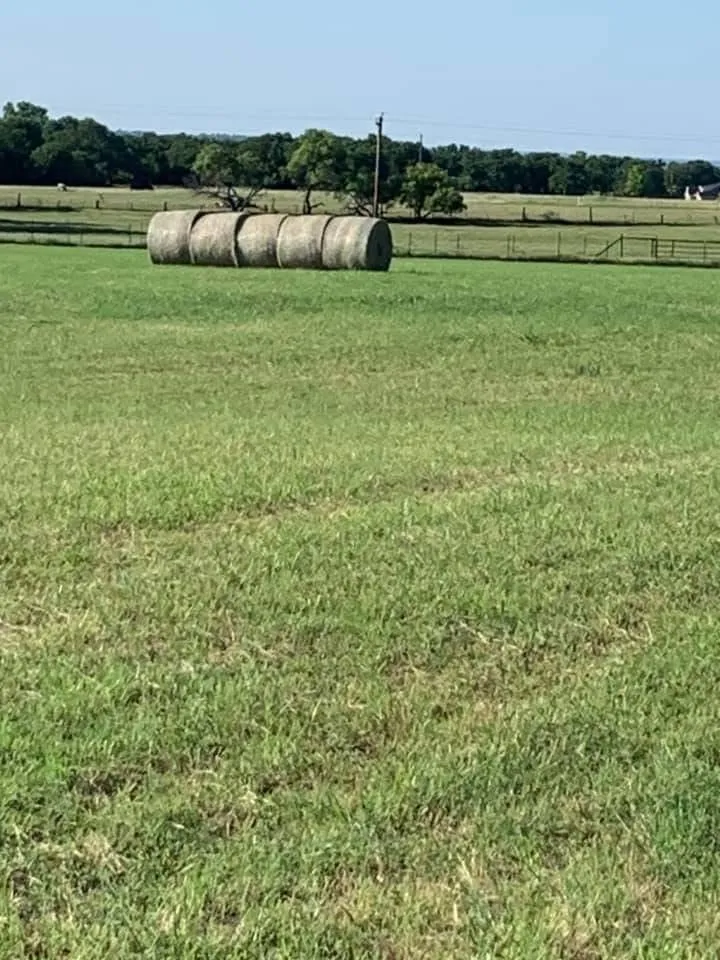8 acres of pasture that produces hay