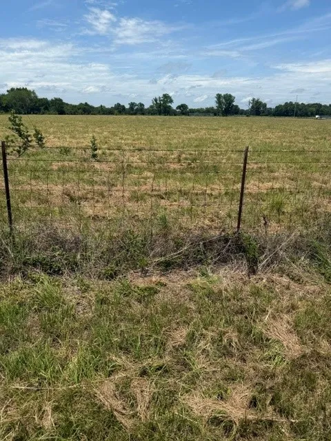 Unimproved Land For Sale in Van Zandt County , 000 VZ County Rd 4406, Ben Wheeler, Texas 75754, 0, 0, Garage spaces, 0 Sqft, built in 0, Price $277,620, mls#21136751, Real Estate Agent in Ben Wheeler, Homes For Sale in Van Zandt county, Homes For Sale in Ben Wheeler, Realtor in Ben Wheeler Texas, Real Estate Brokerage Independent Realty Texas, Luminita Cordes Realtor