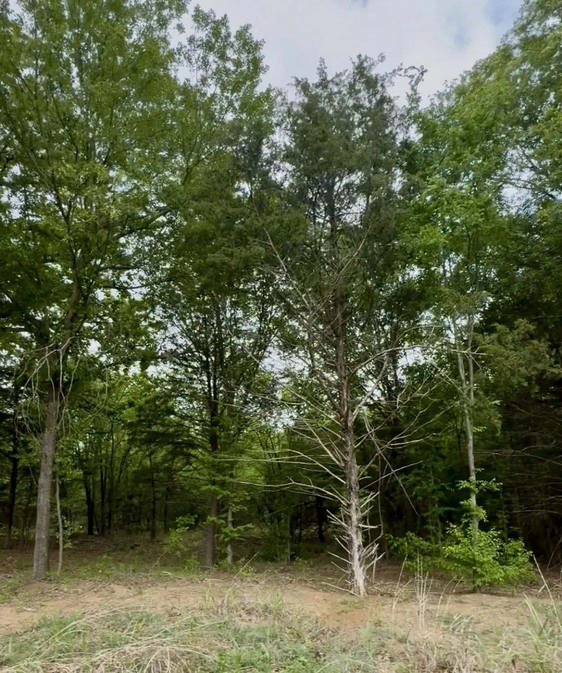 Unimproved Land For Sale in Ellis County , Lot 4 Slate Rock Road, Ennis, Texas 75119, 0, 0, Garage spaces, 0 Sqft, built in 0, Price $145,000, mls#21136711, Real Estate Agent in Ennis, Homes For Sale in Ellis county, Homes For Sale in Ennis, Realtor in Ennis Texas, Real Estate Brokerage Independent Realty Texas, Luminita Cordes Realtor