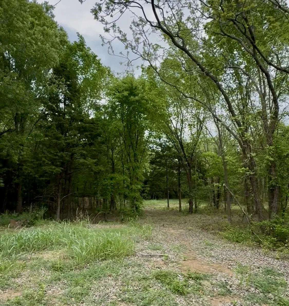 Unimproved Land For Sale in Ellis County , Lot 5 Slate Rock Road, Ennis, Texas 75119, 0, 0, Garage spaces, 0 Sqft, built in 0, Price $145,000, mls#21136712, Real Estate Agent in Ennis, Homes For Sale in Ellis county, Homes For Sale in Ennis, Realtor in Ennis Texas, Real Estate Brokerage Independent Realty Texas, Luminita Cordes Realtor