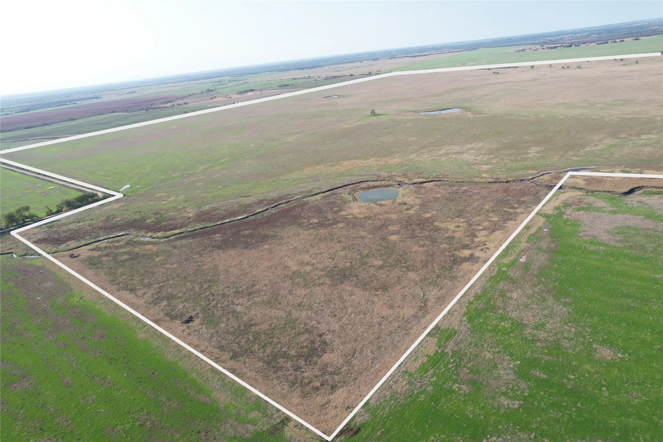 Ranch For Sale in Falls County , CR 223 CR 229, Marlin, Texas 76661, 0, 0, Garage spaces, 0 Sqft, built in 0, mls#21135502, Real Estate Agent in Marlin, Homes For Sale in Falls county, Homes For Sale in Marlin, Realtor in Marlin Texas, Real Estate Brokerage Independent Realty Texas, Luminita Cordes Realtor