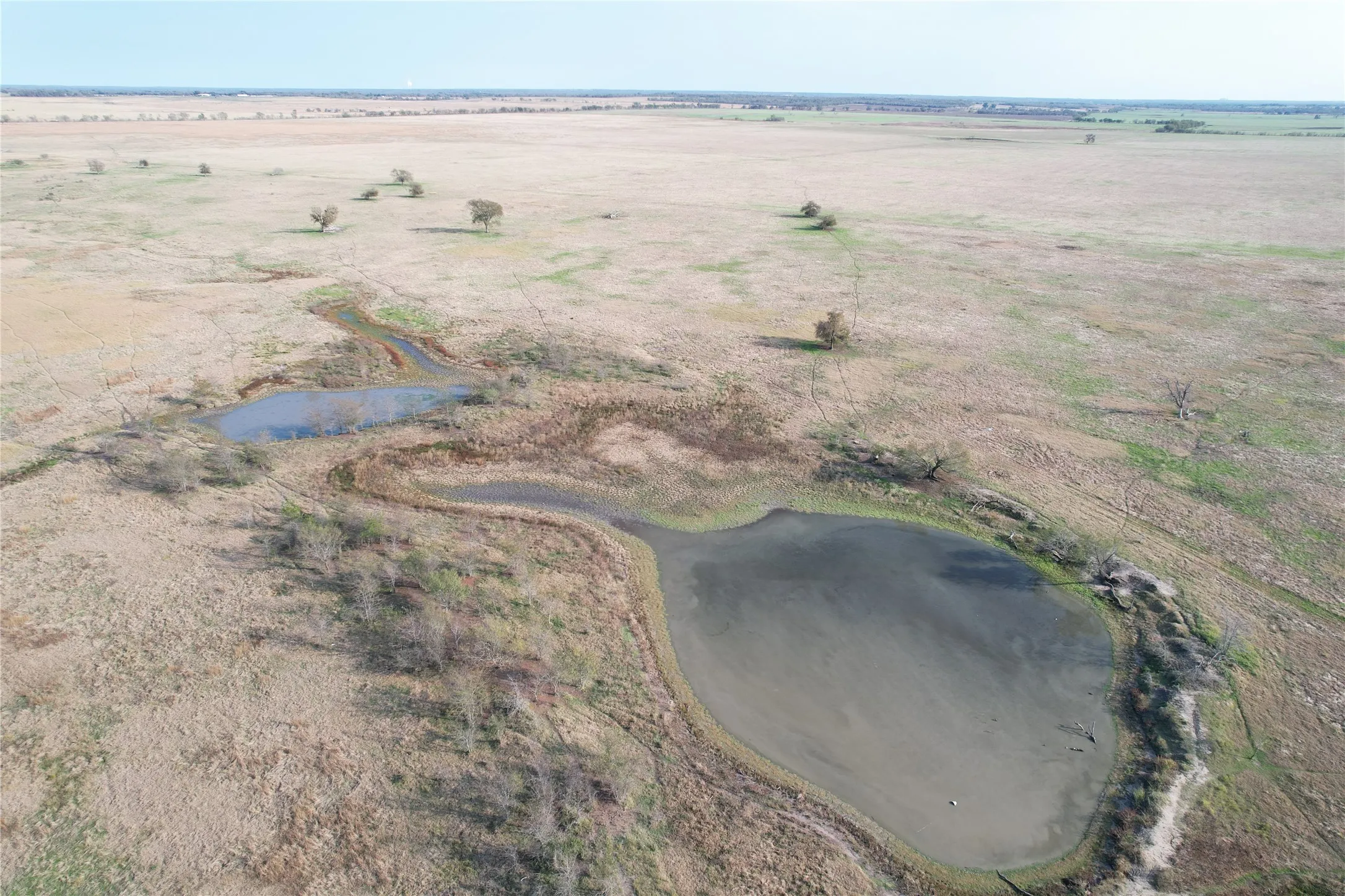 Ranch For Sale in Falls County , CR 223 CR 229, Marlin, Texas 76661, 0, 0, Garage spaces, 0 Sqft, built in 0, mls#21135502, Real Estate Agent in Marlin, Homes For Sale in Falls county, Homes For Sale in Marlin, Realtor in Marlin Texas, Real Estate Brokerage Independent Realty Texas, Luminita Cordes Realtor