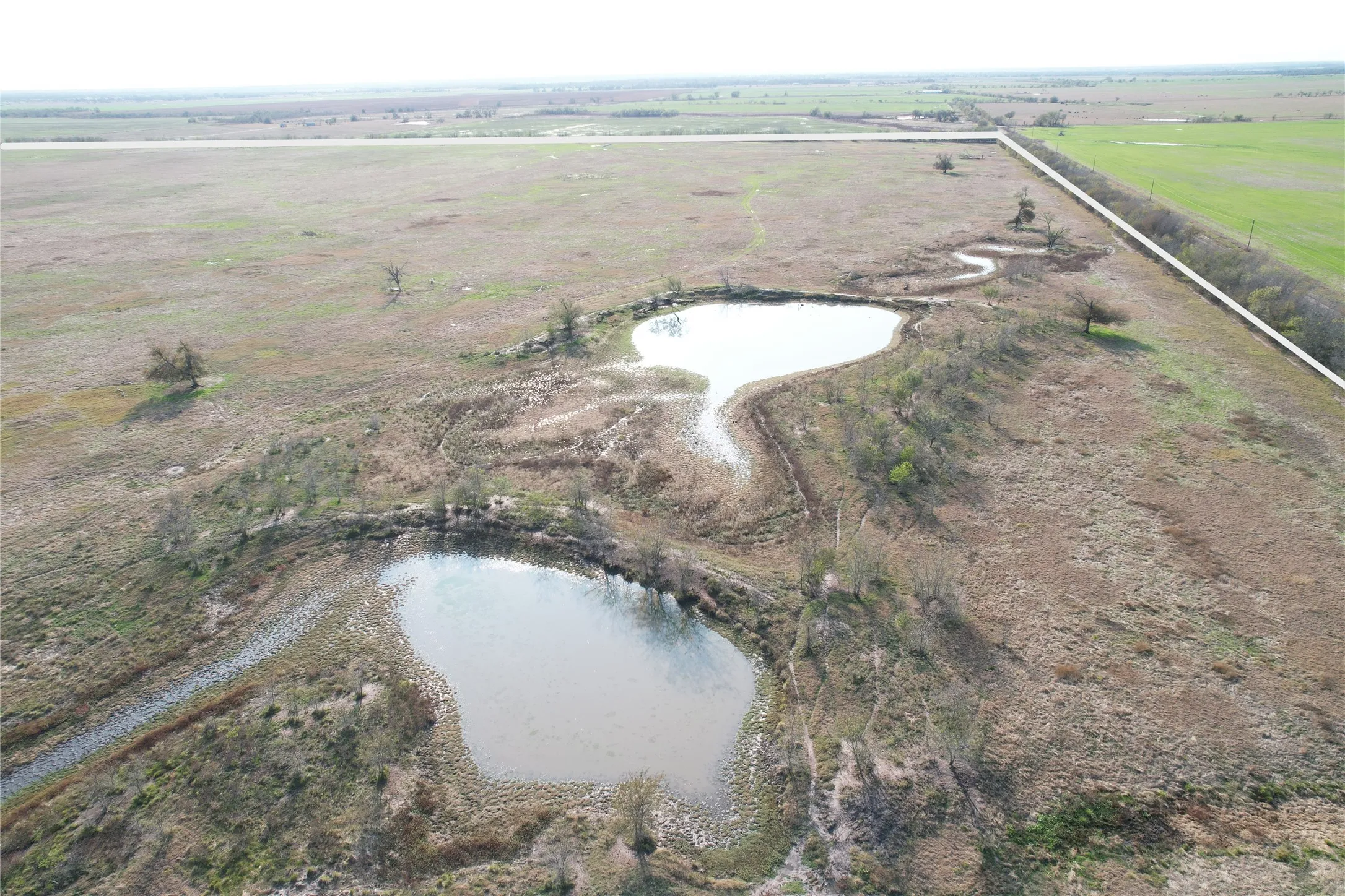 Ranch For Sale in Falls County , CR 223 CR 229, Marlin, Texas 76661, 0, 0, Garage spaces, 0 Sqft, built in 0, mls#21135502, Real Estate Agent in Marlin, Homes For Sale in Falls county, Homes For Sale in Marlin, Realtor in Marlin Texas, Real Estate Brokerage Independent Realty Texas, Luminita Cordes Realtor