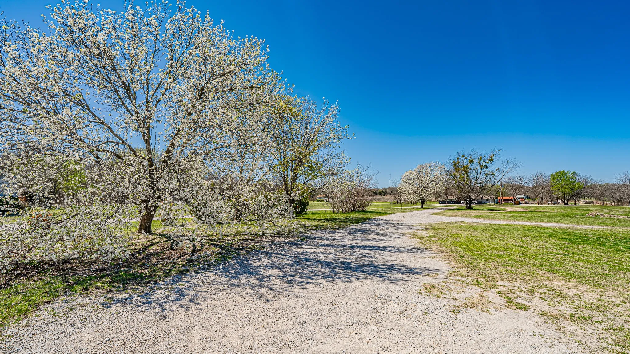 Mobile Home For Sale in Wise County , 528 Stonegate Drive, Paradise, Texas 76073, 3 Bedroom, 1 Bathroom, Garage spaces, 2,488 Sqft, built in 1983, mls#21137068, Real Estate Agent in Paradise, Homes For Sale in Wise county, Homes For Sale in Paradise, Realtor in Paradise Texas, Real Estate Brokerage Independent Realty Texas, Luminita Cordes Realtor