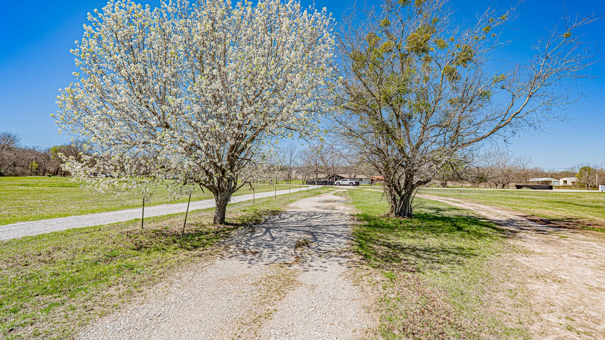 Mobile Home For Sale in Wise County , 528 Stonegate Drive, Paradise, Texas 76073, 3 Bedroom, 1 Bathroom, Garage spaces, 2,488 Sqft, built in 1983, mls#21137068, Real Estate Agent in Paradise, Homes For Sale in Wise county, Homes For Sale in Paradise, Realtor in Paradise Texas, Real Estate Brokerage Independent Realty Texas, Luminita Cordes Realtor