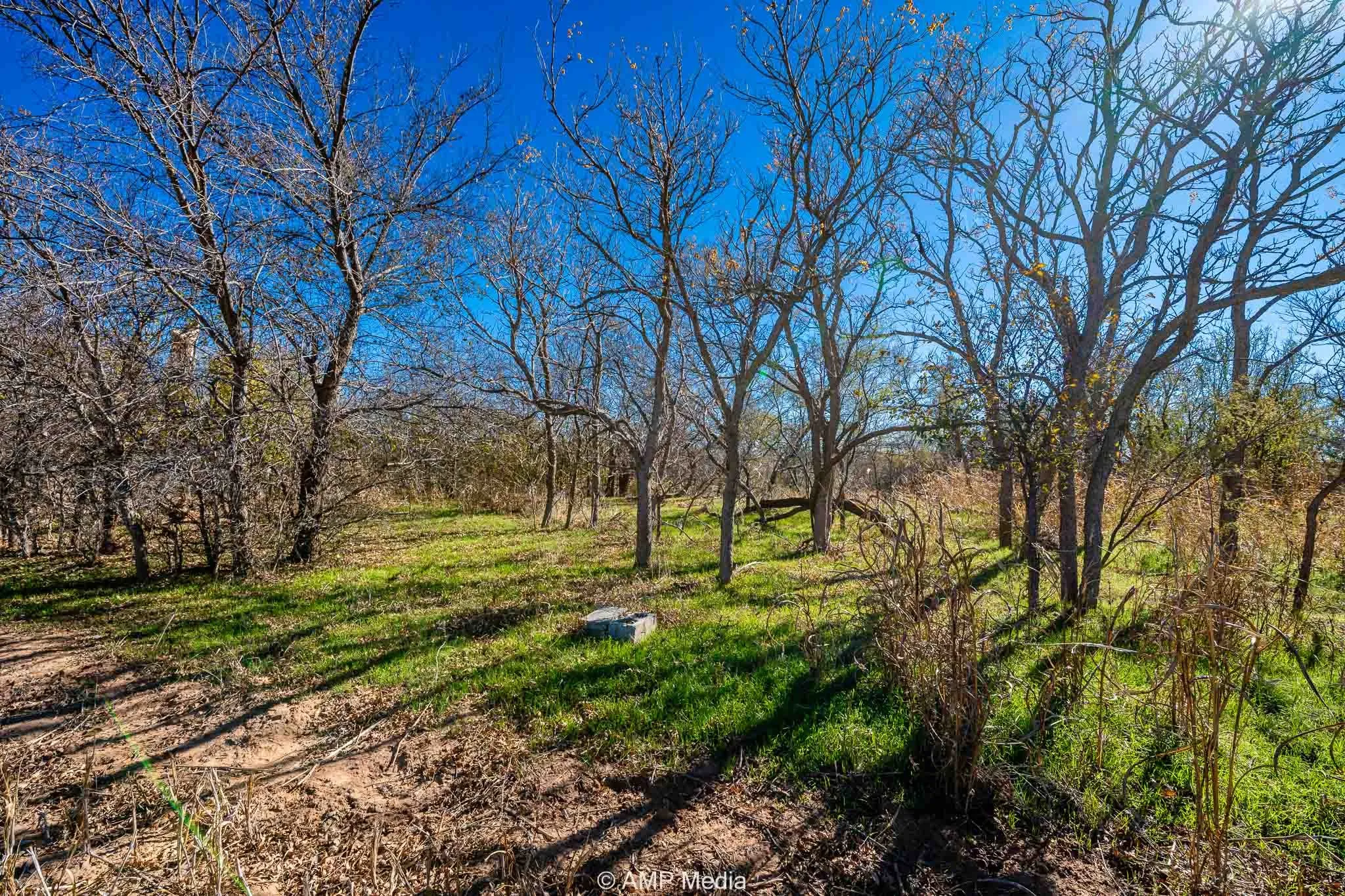 Ranch For Sale in Fisher County , CR 110, Sylvester, Texas 79560, 0, 0, Garage spaces, 0 Sqft, built in 0, Price $807,100, mls#21137269, Real Estate Agent in Sylvester, Homes For Sale in Fisher county, Homes For Sale in Sylvester, Realtor in Sylvester Texas, Real Estate Brokerage Independent Realty Texas, Luminita Cordes Realtor