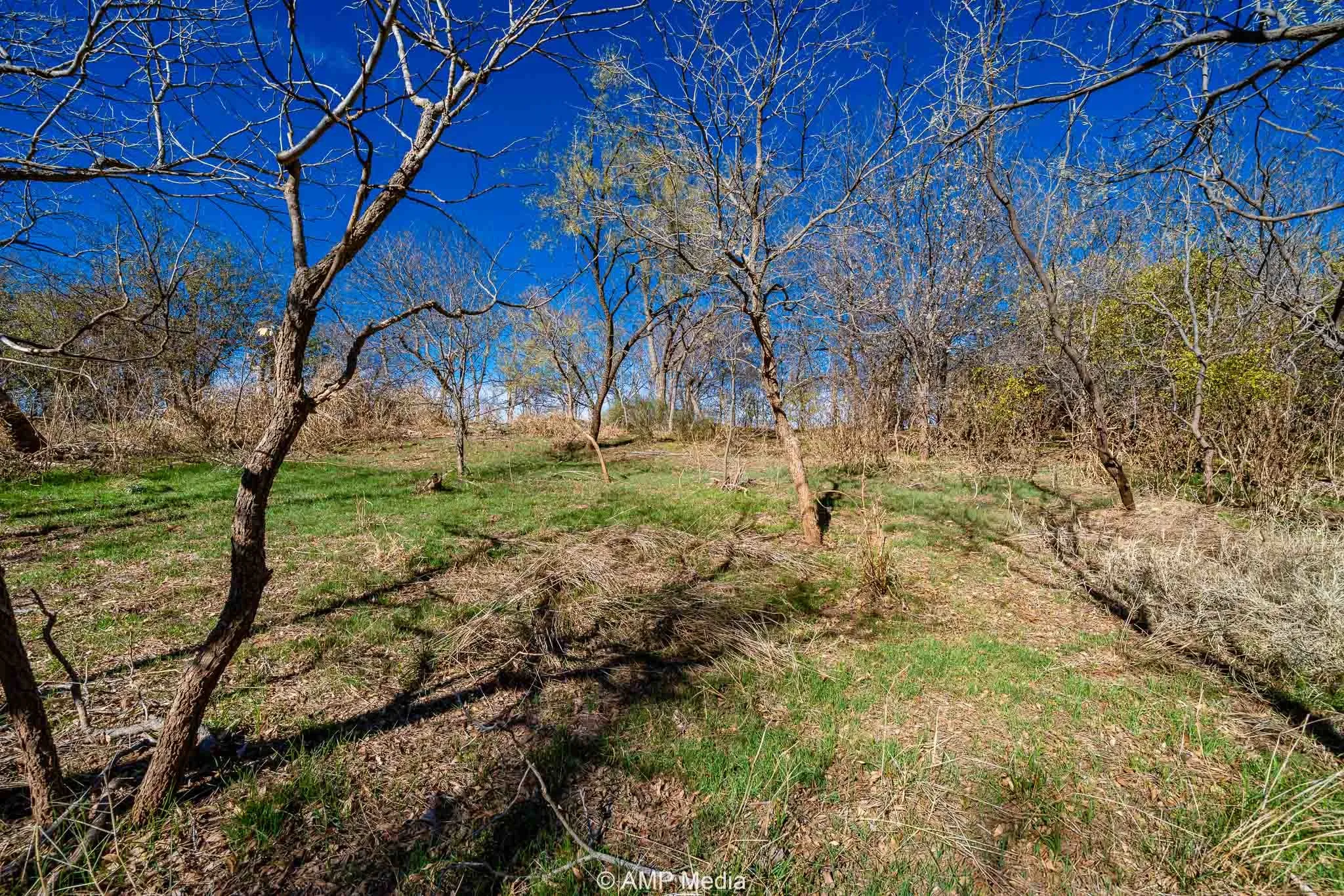 Ranch For Sale in Fisher County , CR 110, Sylvester, Texas 79560, 0, 0, Garage spaces, 0 Sqft, built in 0, Price $807,100, mls#21137269, Real Estate Agent in Sylvester, Homes For Sale in Fisher county, Homes For Sale in Sylvester, Realtor in Sylvester Texas, Real Estate Brokerage Independent Realty Texas, Luminita Cordes Realtor
