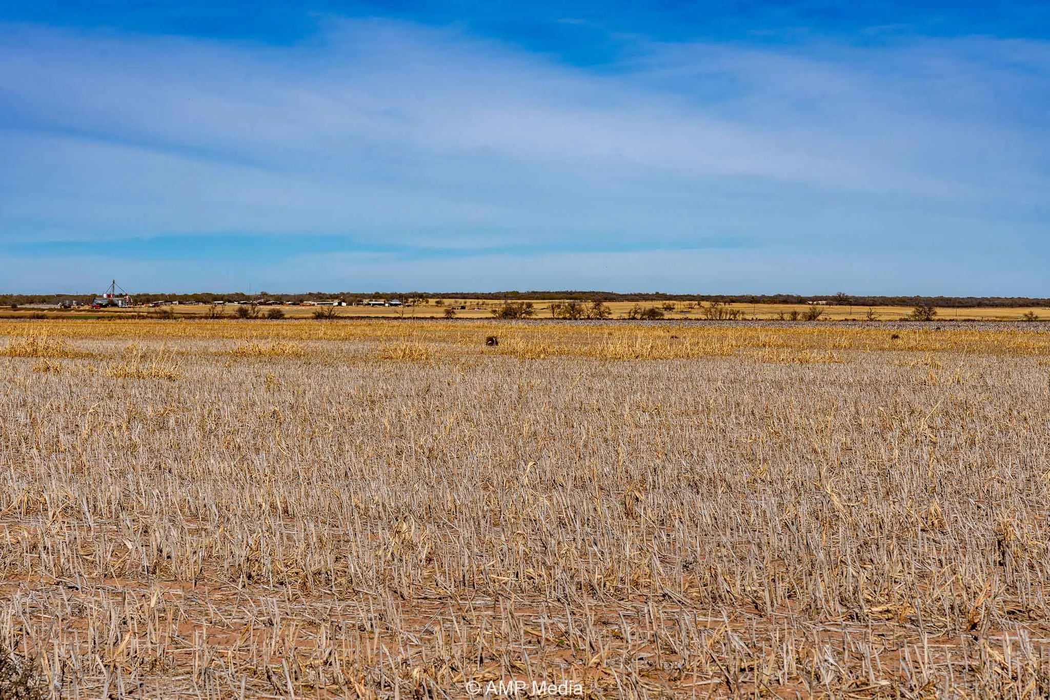 Ranch For Sale in Fisher County , CR 110, Sylvester, Texas 79560, 0, 0, Garage spaces, 0 Sqft, built in 0, Price $807,100, mls#21137269, Real Estate Agent in Sylvester, Homes For Sale in Fisher county, Homes For Sale in Sylvester, Realtor in Sylvester Texas, Real Estate Brokerage Independent Realty Texas, Luminita Cordes Realtor
