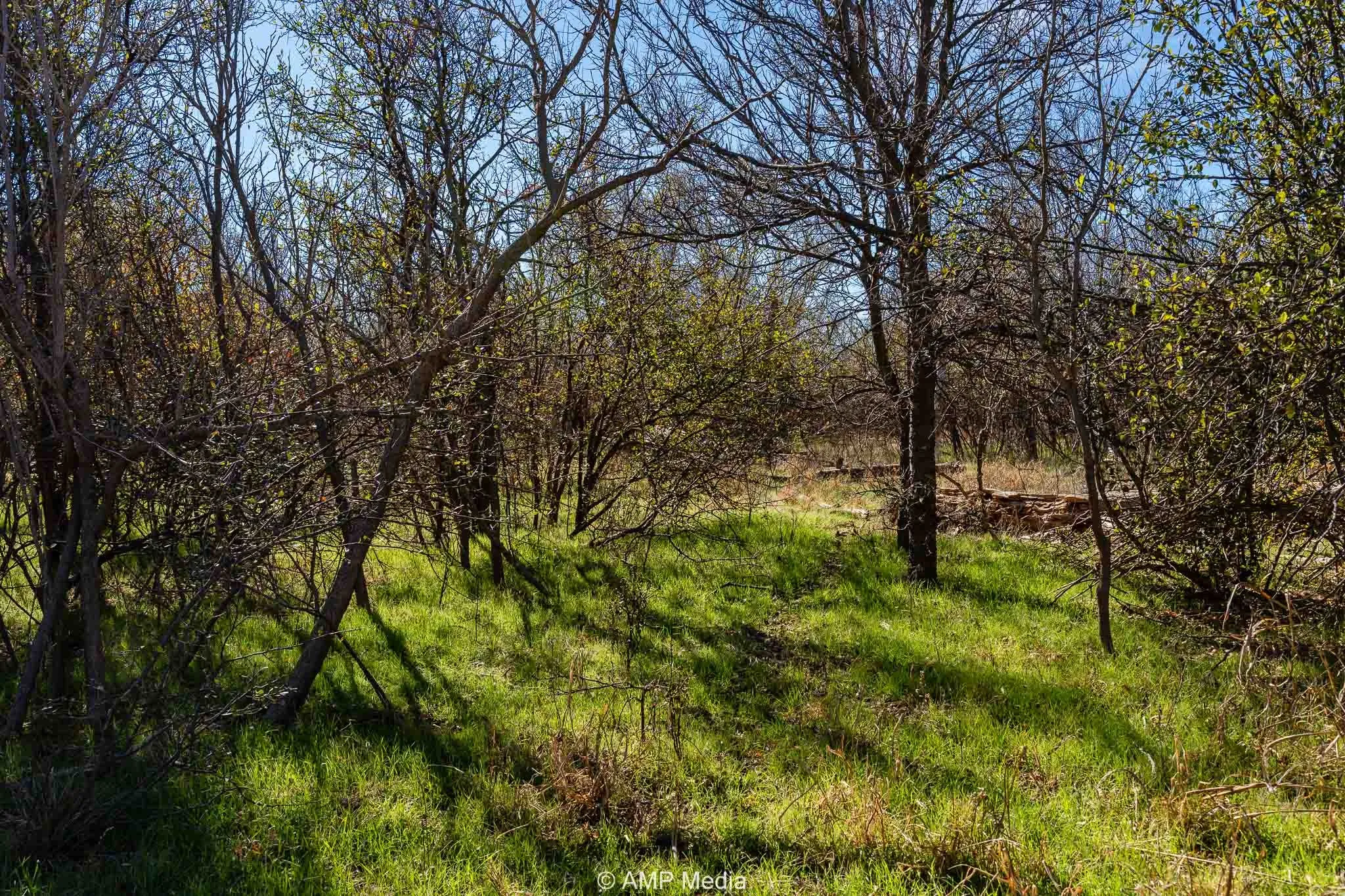 Ranch For Sale in Fisher County , CR 110, Sylvester, Texas 79560, 0, 0, Garage spaces, 0 Sqft, built in 0, Price $807,100, mls#21137269, Real Estate Agent in Sylvester, Homes For Sale in Fisher county, Homes For Sale in Sylvester, Realtor in Sylvester Texas, Real Estate Brokerage Independent Realty Texas, Luminita Cordes Realtor