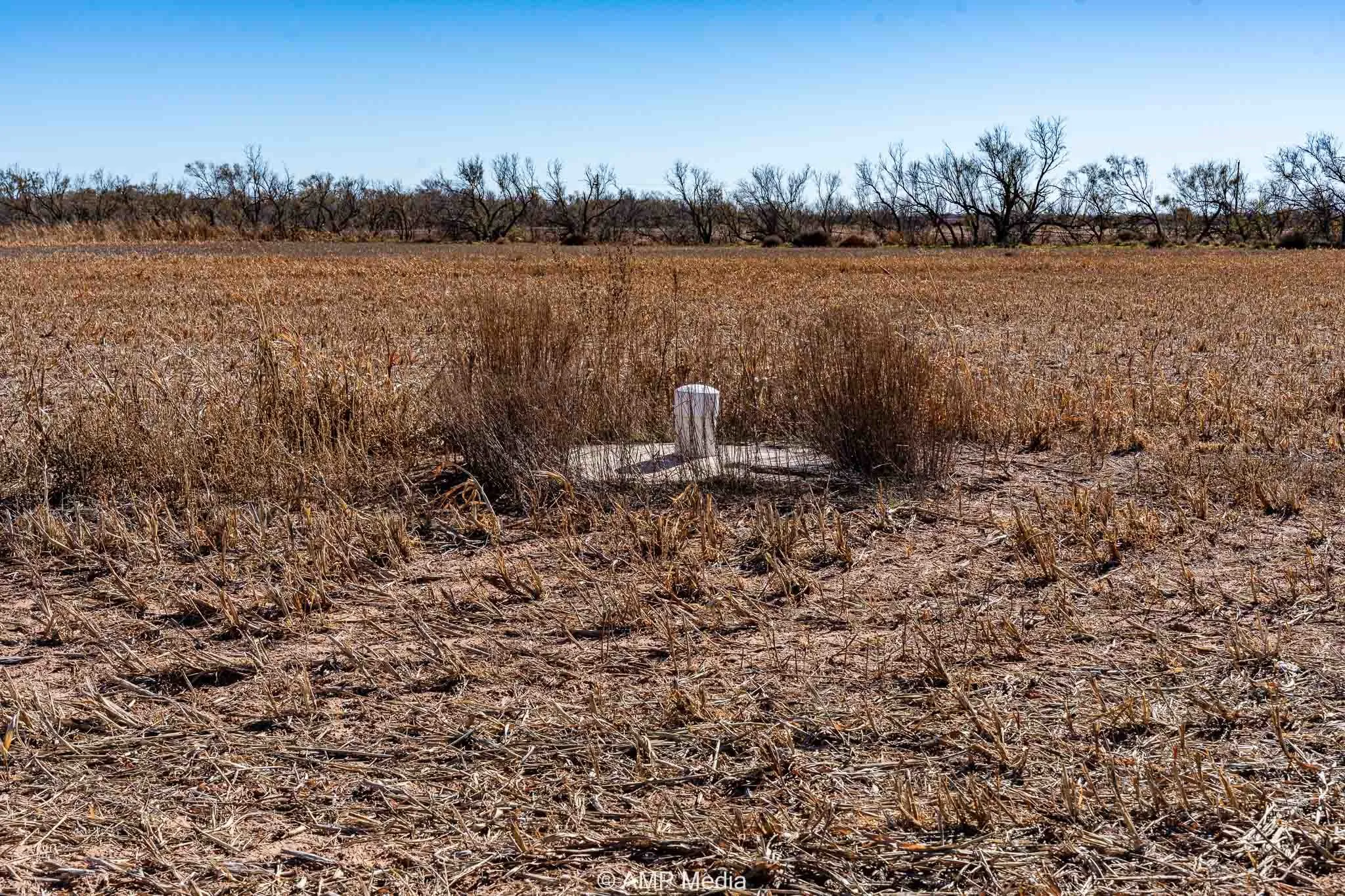 Ranch For Sale in Fisher County , CR 110, Sylvester, Texas 79560, 0, 0, Garage spaces, 0 Sqft, built in 0, Price $807,100, mls#21137269, Real Estate Agent in Sylvester, Homes For Sale in Fisher county, Homes For Sale in Sylvester, Realtor in Sylvester Texas, Real Estate Brokerage Independent Realty Texas, Luminita Cordes Realtor