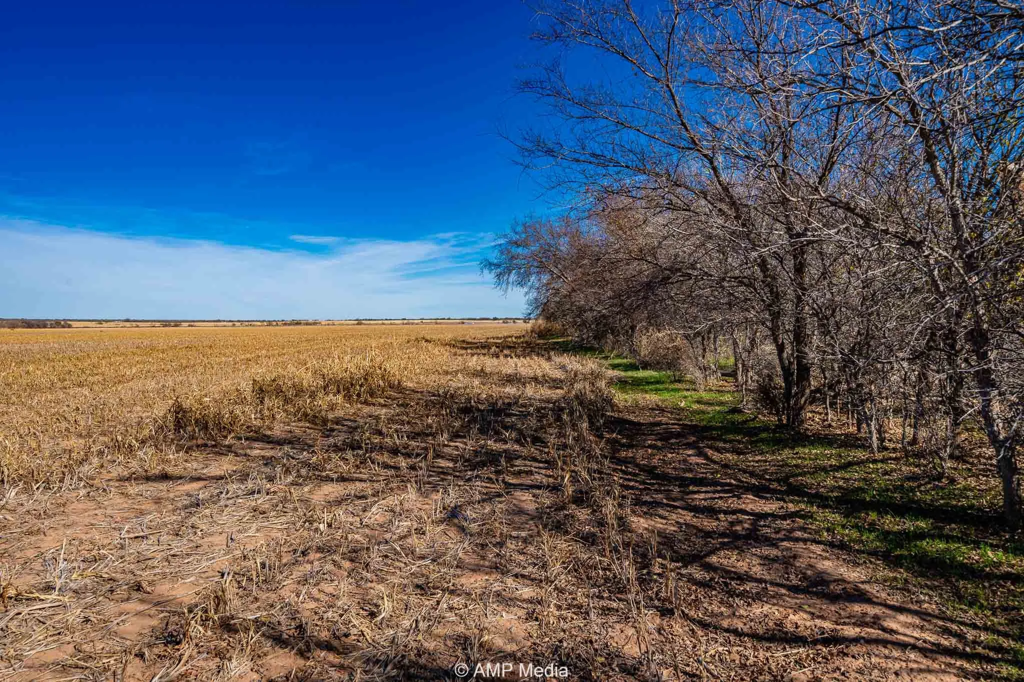 Ranch For Sale in Fisher County , CR 110, Sylvester, Texas 79560, 0, 0, Garage spaces, 0 Sqft, built in 0, Price $807,100, mls#21137269, Real Estate Agent in Sylvester, Homes For Sale in Fisher county, Homes For Sale in Sylvester, Realtor in Sylvester Texas, Real Estate Brokerage Independent Realty Texas, Luminita Cordes Realtor