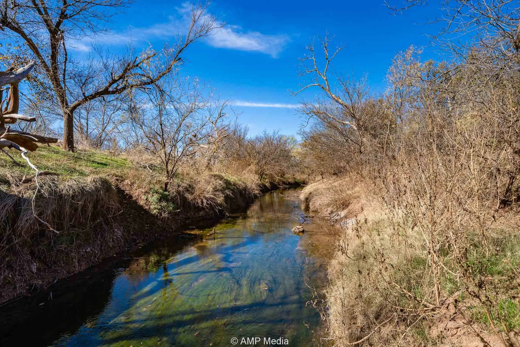 Ranch For Sale in Fisher County , CR 110, Sylvester, Texas 79560, 0, 0, Garage spaces, 0 Sqft, built in 0, Price $807,100, mls#21137269, Real Estate Agent in Sylvester, Homes For Sale in Fisher county, Homes For Sale in Sylvester, Realtor in Sylvester Texas, Real Estate Brokerage Independent Realty Texas, Luminita Cordes Realtor