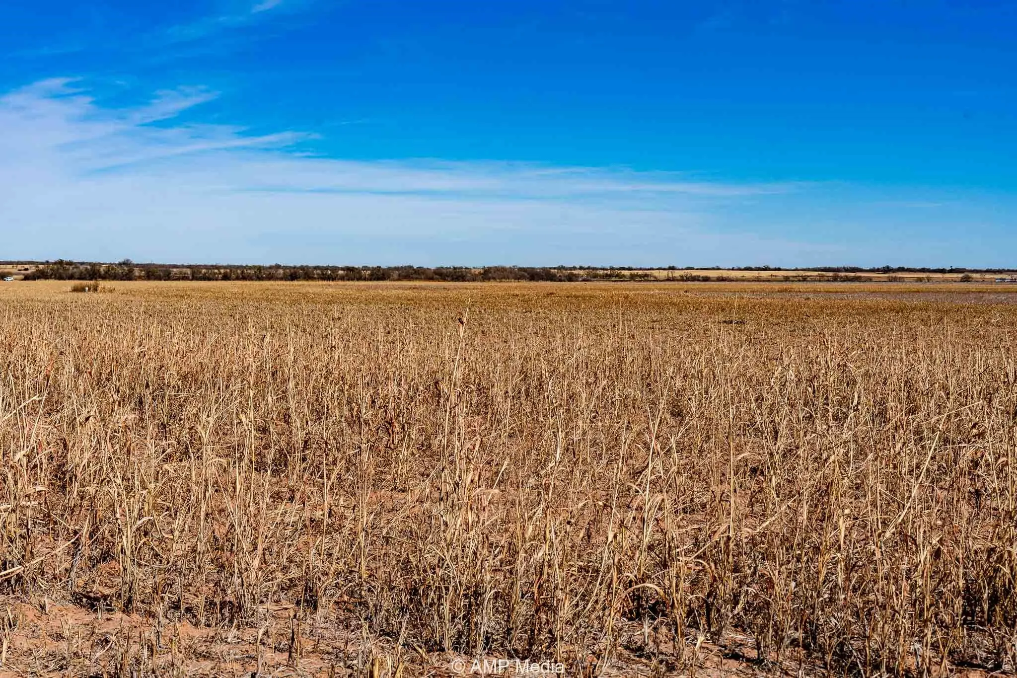 Ranch For Sale in Fisher County , CR 110, Sylvester, Texas 79560, 0, 0, Garage spaces, 0 Sqft, built in 0, Price $807,100, mls#21137269, Real Estate Agent in Sylvester, Homes For Sale in Fisher county, Homes For Sale in Sylvester, Realtor in Sylvester Texas, Real Estate Brokerage Independent Realty Texas, Luminita Cordes Realtor