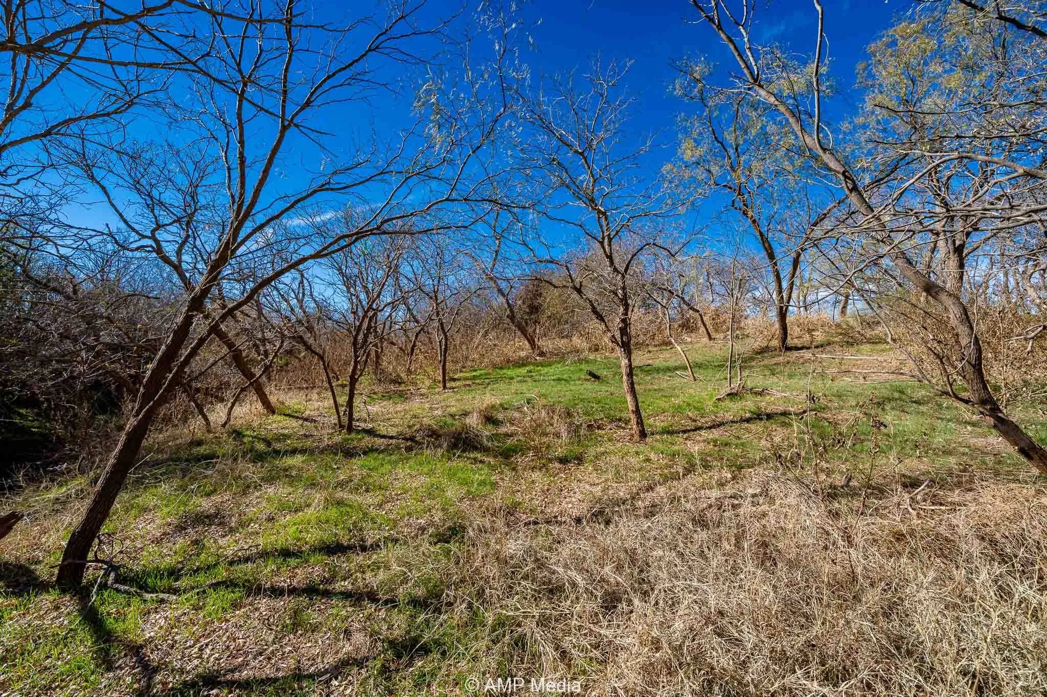 Ranch For Sale in Fisher County , CR 110, Sylvester, Texas 79560, 0, 0, Garage spaces, 0 Sqft, built in 0, Price $807,100, mls#21137269, Real Estate Agent in Sylvester, Homes For Sale in Fisher county, Homes For Sale in Sylvester, Realtor in Sylvester Texas, Real Estate Brokerage Independent Realty Texas, Luminita Cordes Realtor