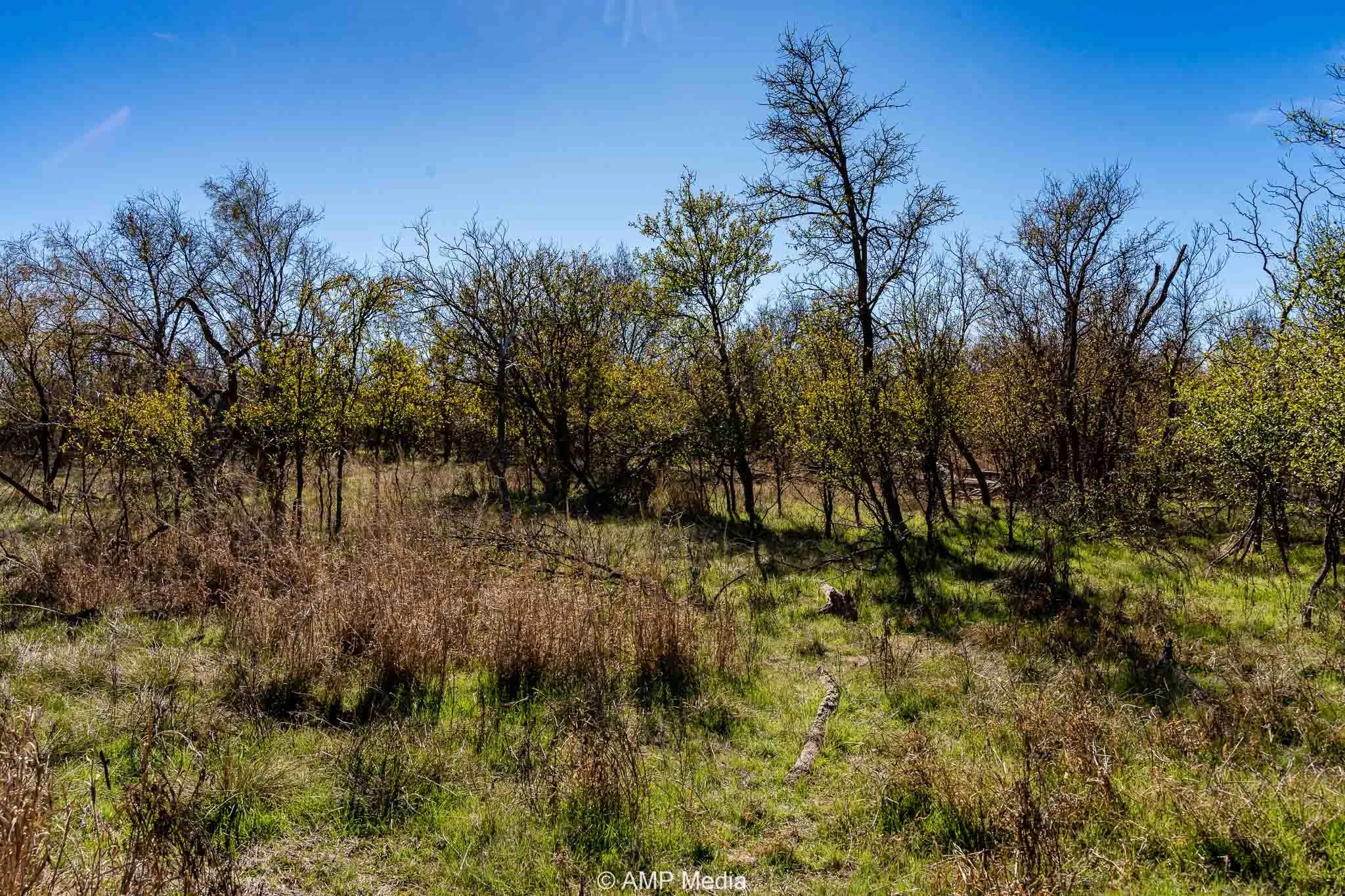 Ranch For Sale in Fisher County , CR 110, Sylvester, Texas 79560, 0, 0, Garage spaces, 0 Sqft, built in 0, Price $807,100, mls#21137269, Real Estate Agent in Sylvester, Homes For Sale in Fisher county, Homes For Sale in Sylvester, Realtor in Sylvester Texas, Real Estate Brokerage Independent Realty Texas, Luminita Cordes Realtor