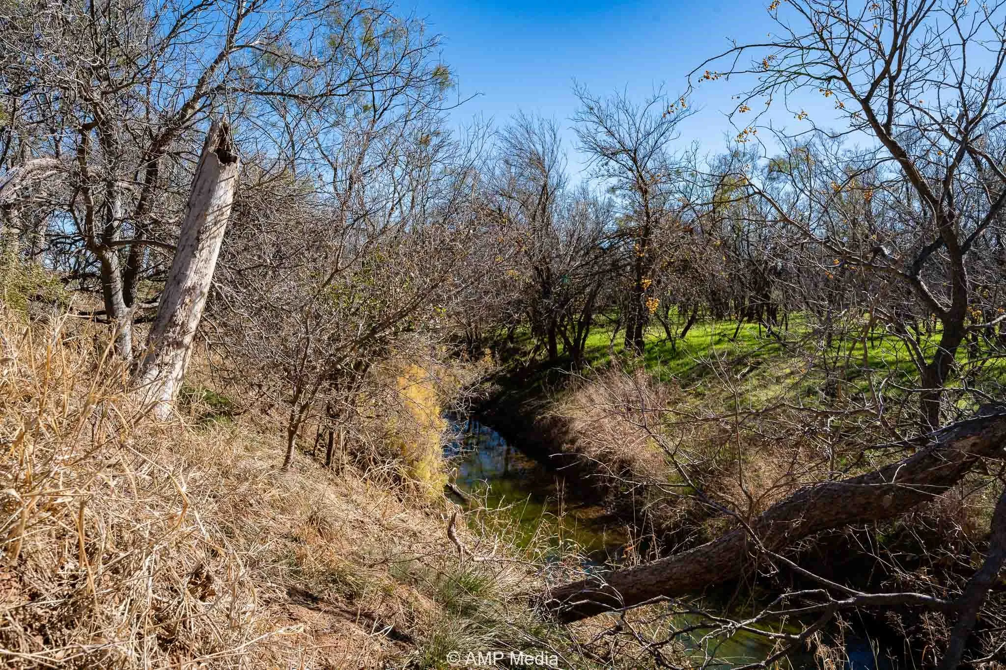 Ranch For Sale in Fisher County , CR 110, Sylvester, Texas 79560, 0, 0, Garage spaces, 0 Sqft, built in 0, Price $807,100, mls#21137269, Real Estate Agent in Sylvester, Homes For Sale in Fisher county, Homes For Sale in Sylvester, Realtor in Sylvester Texas, Real Estate Brokerage Independent Realty Texas, Luminita Cordes Realtor