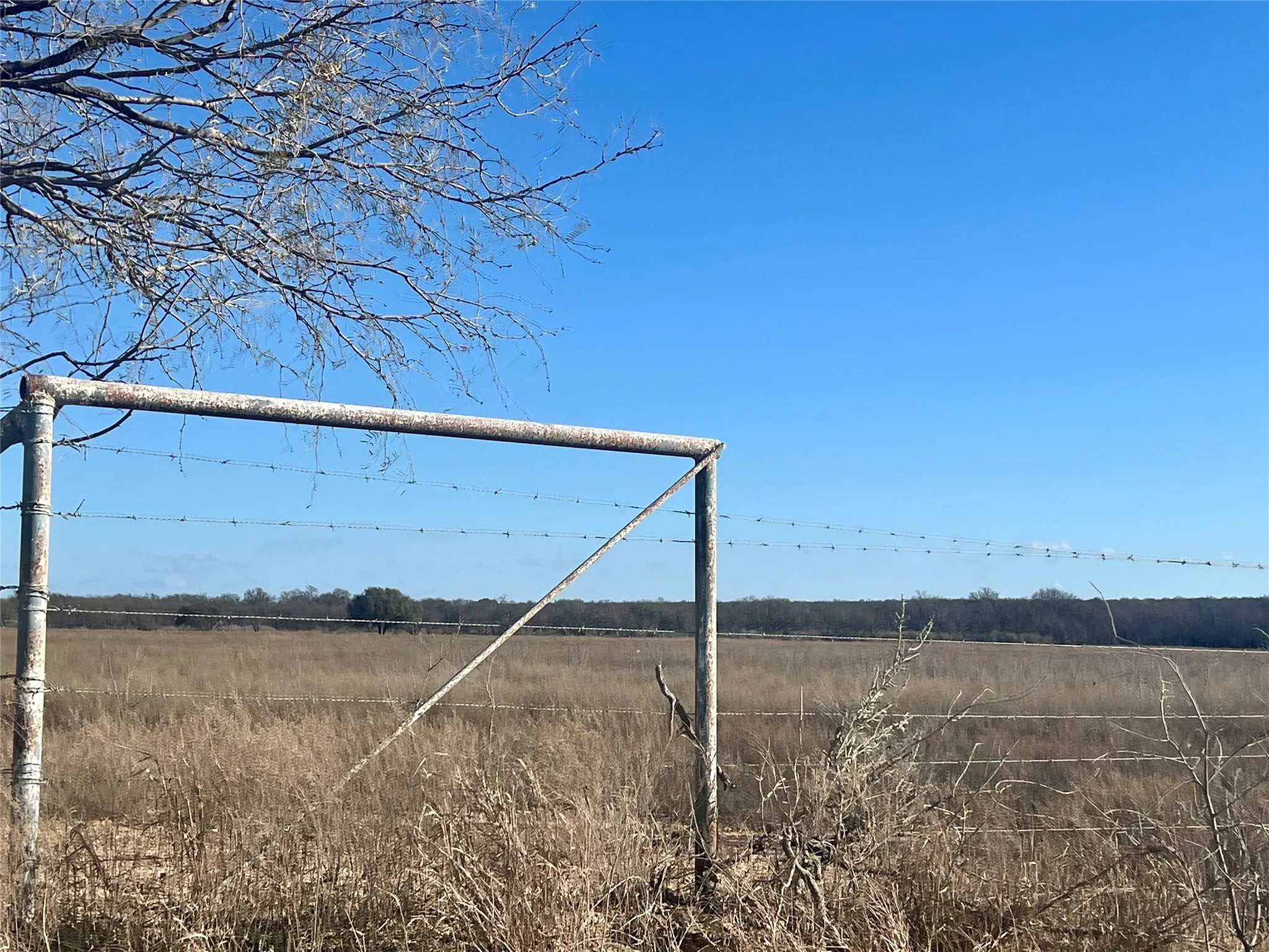 Unimproved Land For Sale in Erath County , TBD 3864 County Road 120, Gordon, Texas 76453, 0, 0, Garage spaces, 0 Sqft, built in 0, Price $210,000, mls#21137237, Real Estate Agent in Gordon, Homes For Sale in Erath county, Homes For Sale in Gordon, Realtor in Gordon Texas, Real Estate Brokerage Independent Realty Texas, Luminita Cordes Realtor
