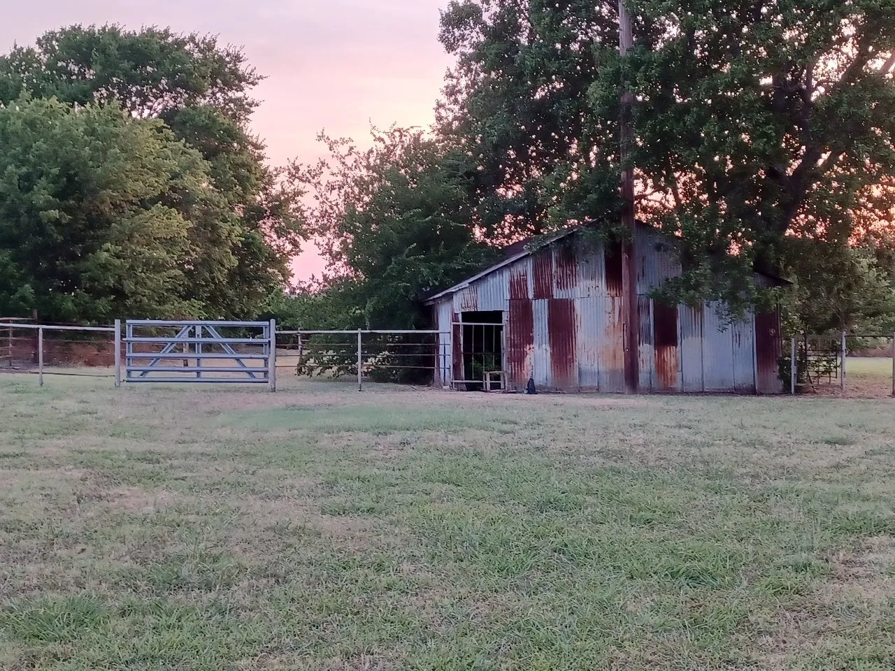 View of horse barn