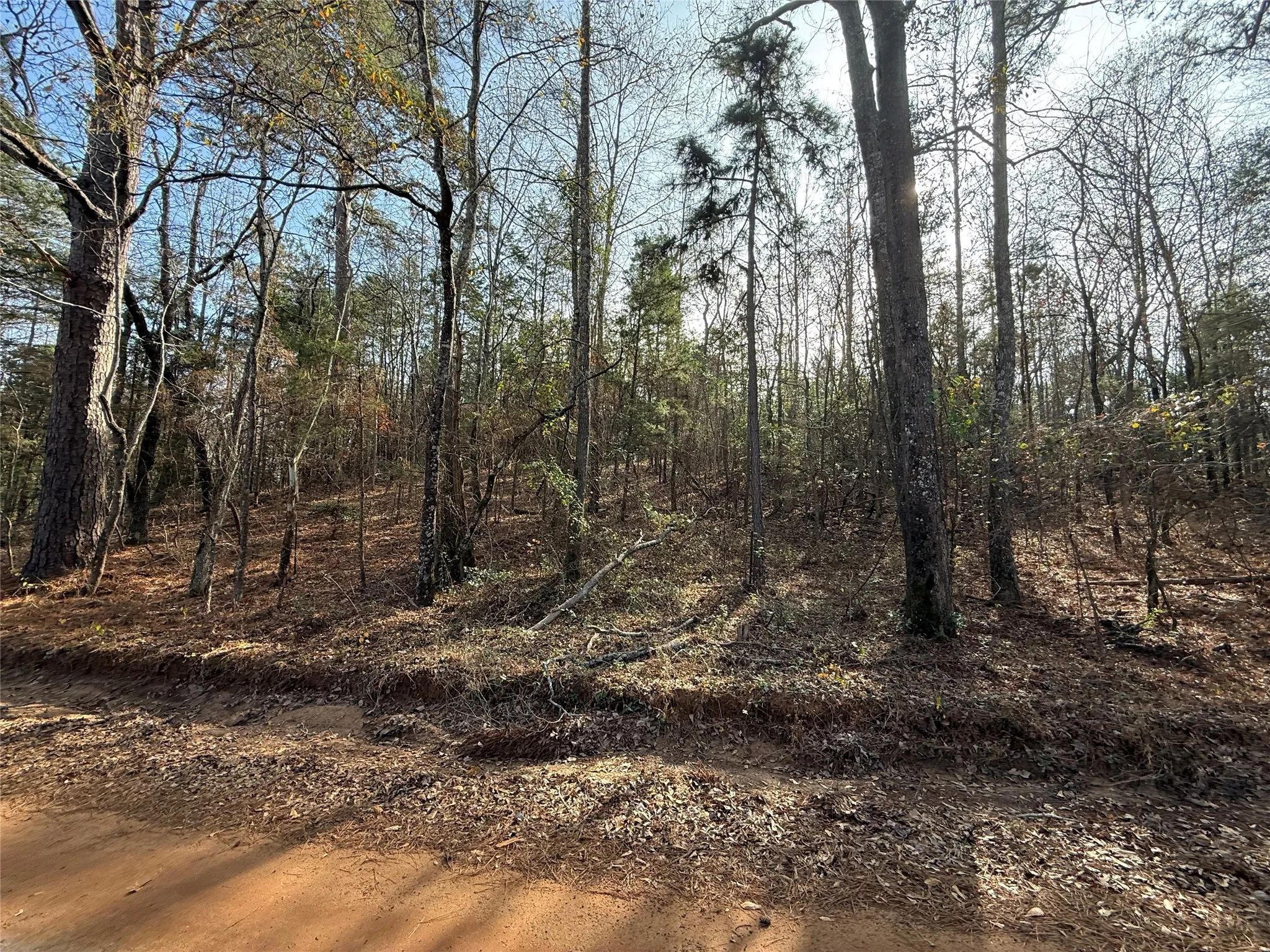 Unimproved Land For Sale in Cass County , TBD CR 2733, Marietta, Texas 75566, 0, 0, Garage spaces, 0 Sqft, built in 0, Price $92,500, mls#21137391, Real Estate Agent in Marietta, Homes For Sale in Cass county, Homes For Sale in Marietta, Realtor in Marietta Texas, Real Estate Brokerage Independent Realty Texas, Luminita Cordes Realtor