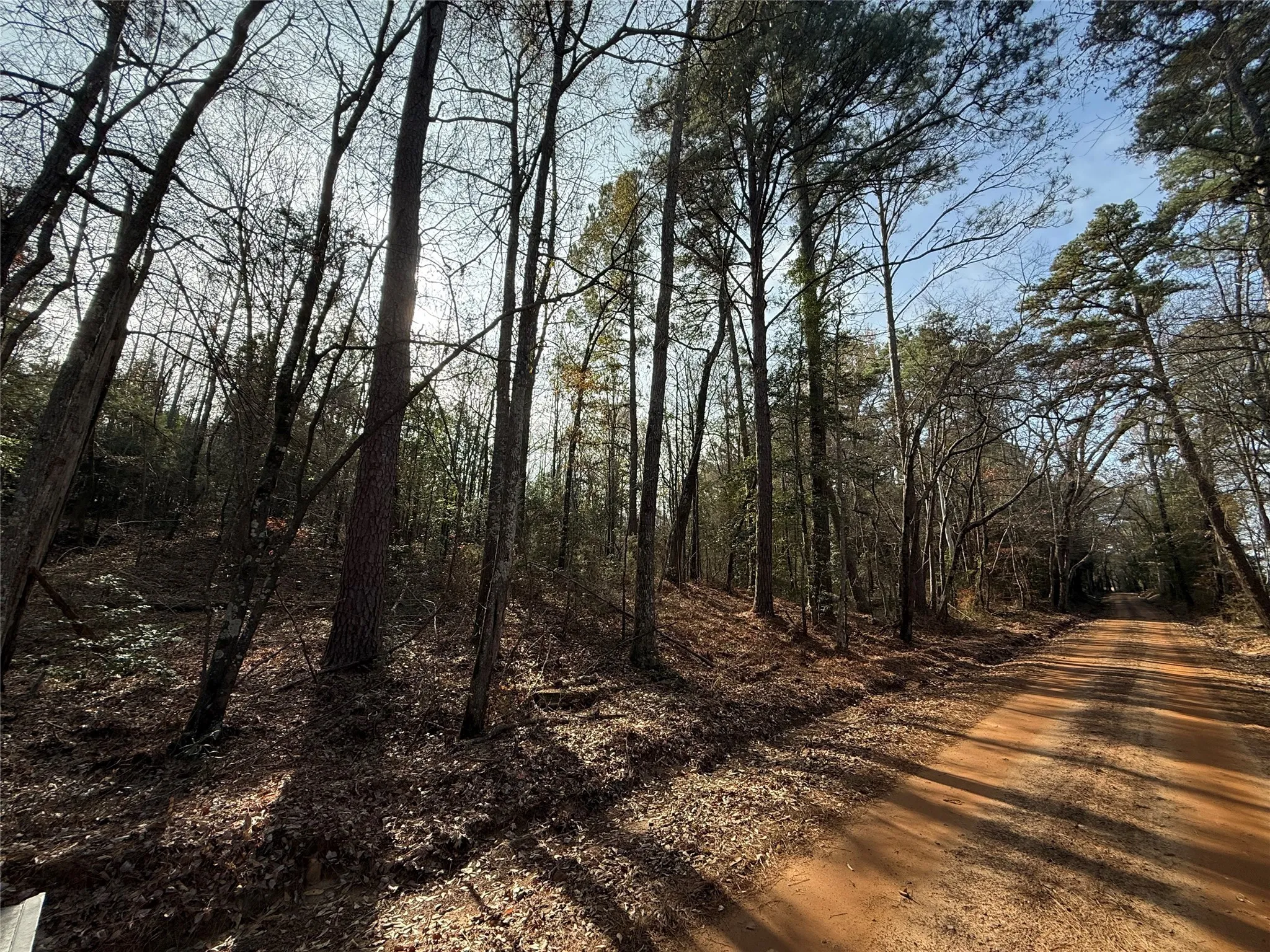 Unimproved Land For Sale in Cass County , TBD CR 2733, Marietta, Texas 75566, 0, 0, Garage spaces, 0 Sqft, built in 0, Price $92,500, mls#21137391, Real Estate Agent in Marietta, Homes For Sale in Cass county, Homes For Sale in Marietta, Realtor in Marietta Texas, Real Estate Brokerage Independent Realty Texas, Luminita Cordes Realtor